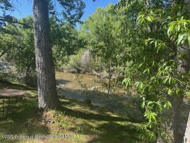 23286 Two Rivers Road, Basalt, CO 81621 - Photo 13