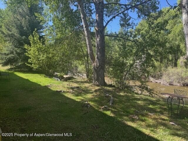 23286 Two Rivers Road, Basalt, CO 81621 - Photo 14