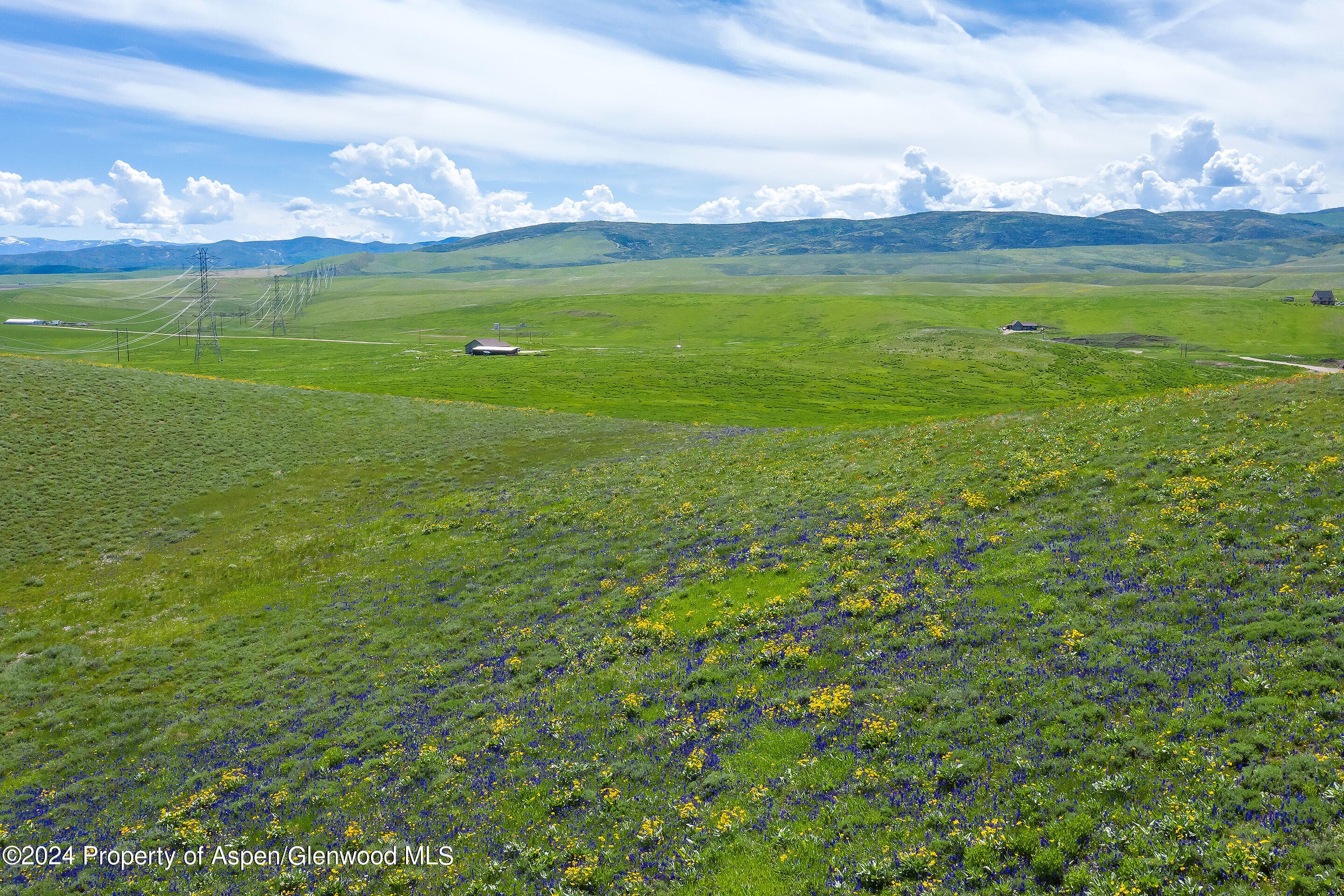 35755 County Road 59, Hayden, CO 81639 - Photo 5