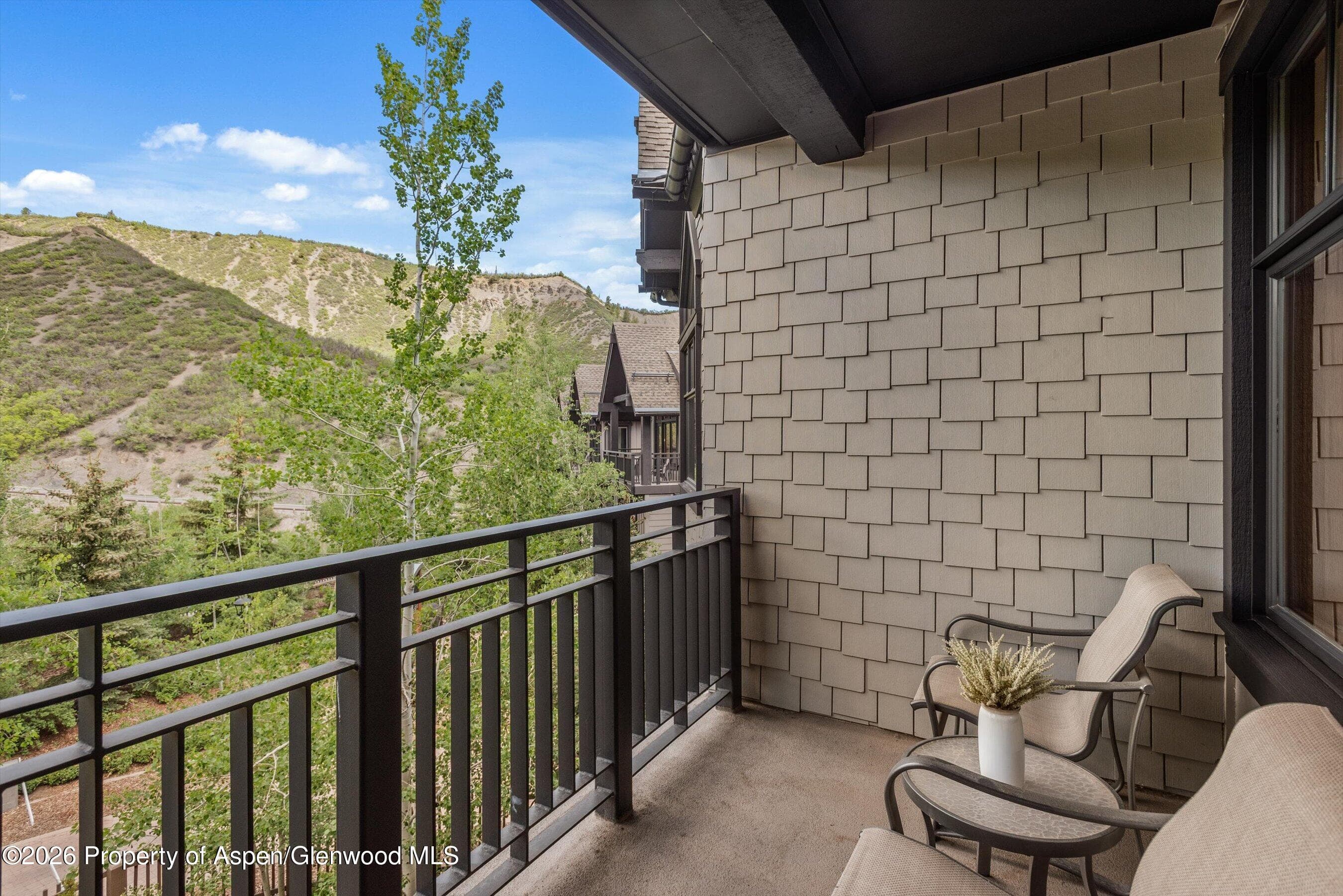 90 Carriage Way 3317, Snowmass Village, CO 81615 - Photo 11