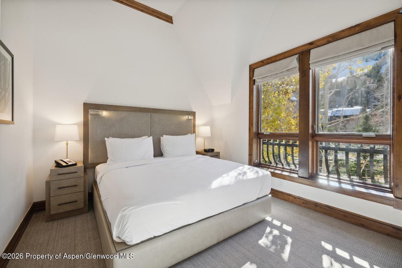 415 E Dean St. #32, Wk 9, Aspen, CO 81611 - Photo 12