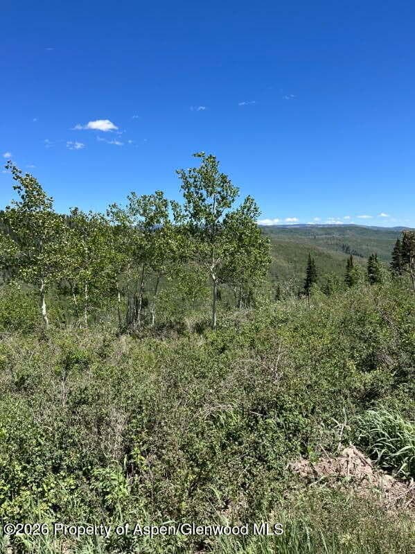 Tbd Alamosa County Parcel #5139301, Alamosa, CO 81101 - Photo 7