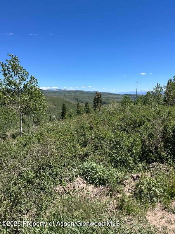 Tbd Alamosa County Parcel #5139301, Alamosa, CO 81101 - Photo 8