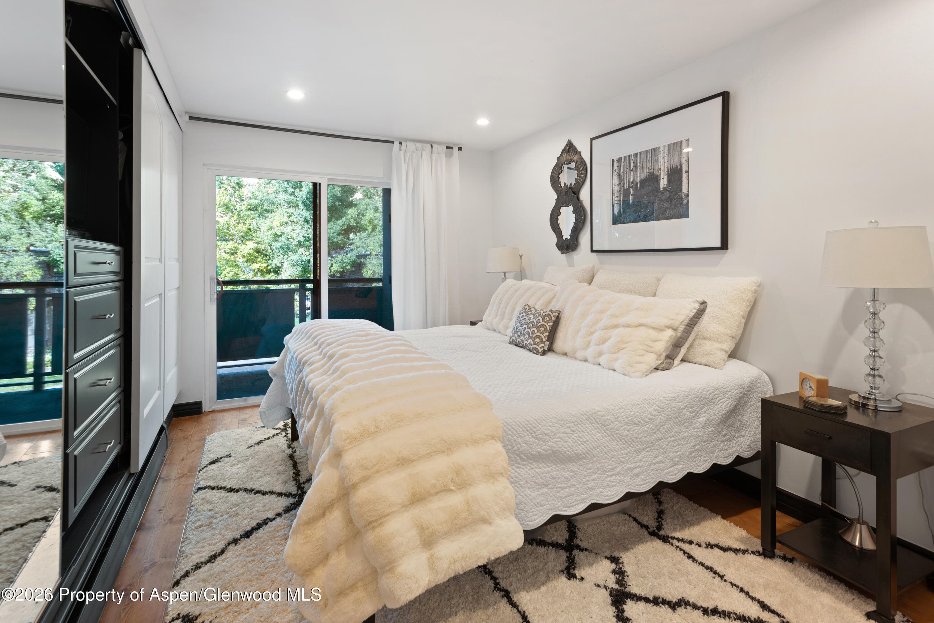 100 E Dean Street Unit 2b, Aspen, CO 81611 - Photo 8