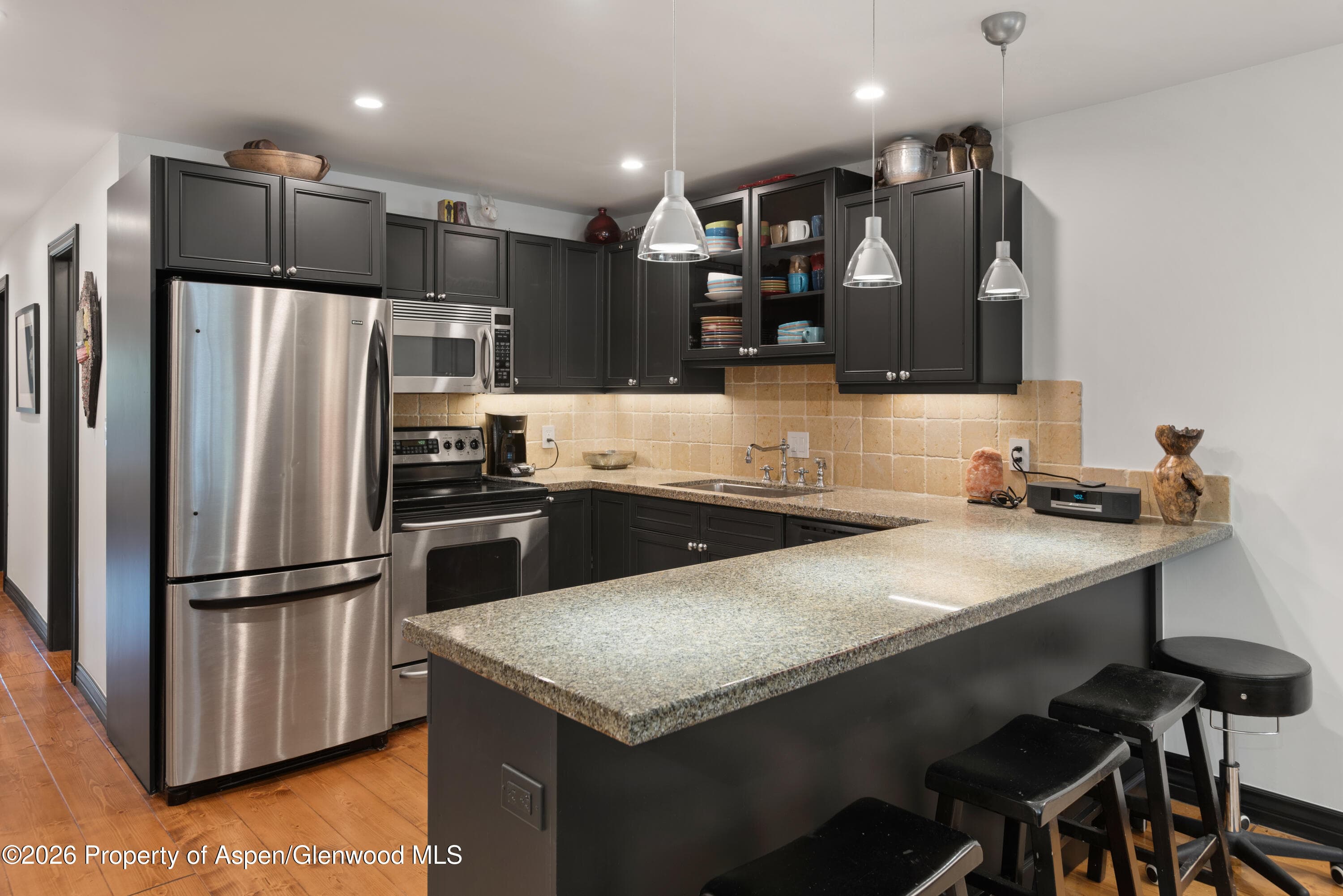 100 E Dean Street Unit 2b, Aspen, CO 81611 - Photo 6