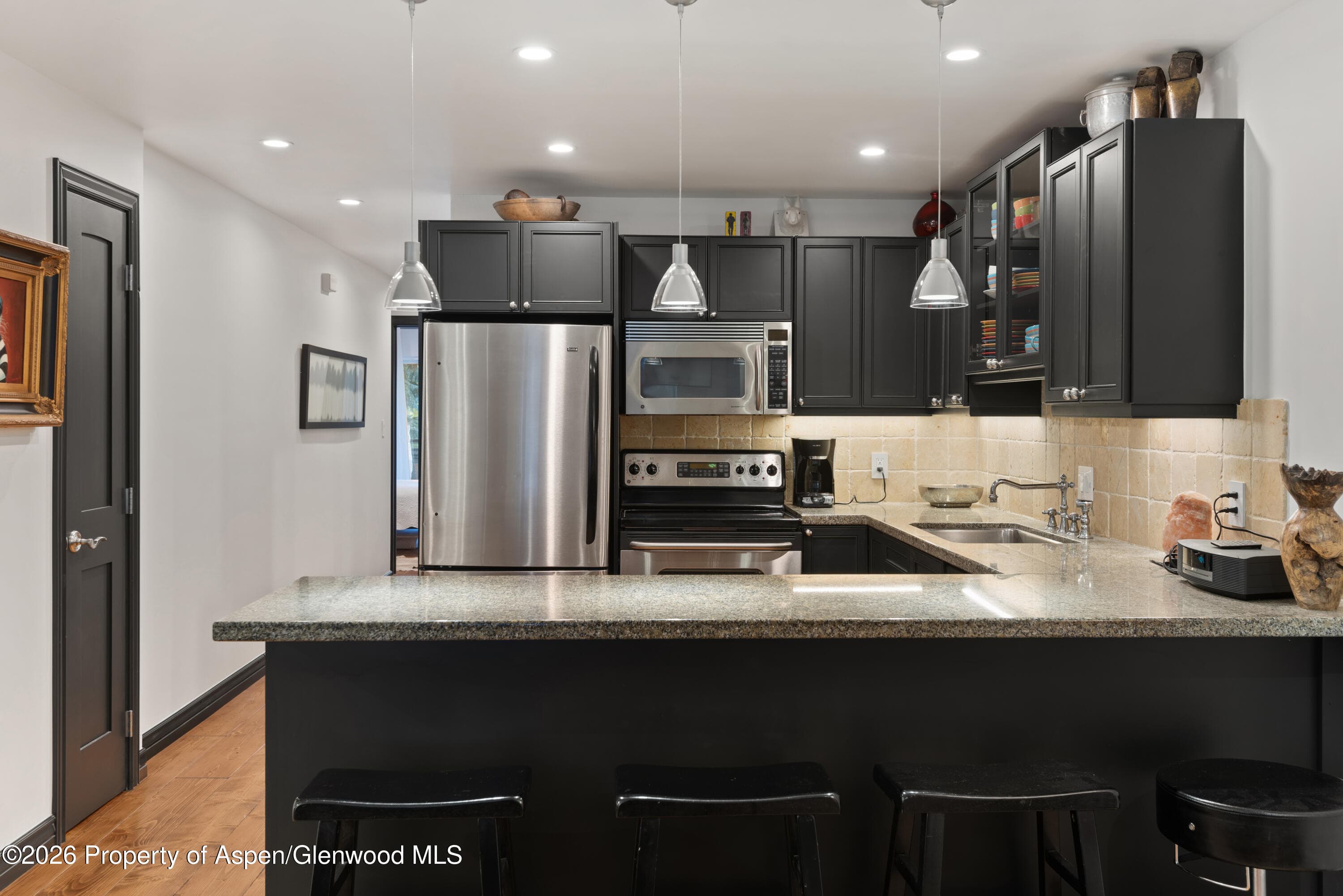 100 E Dean Street Unit 2b, Aspen, CO 81611 - Photo 7