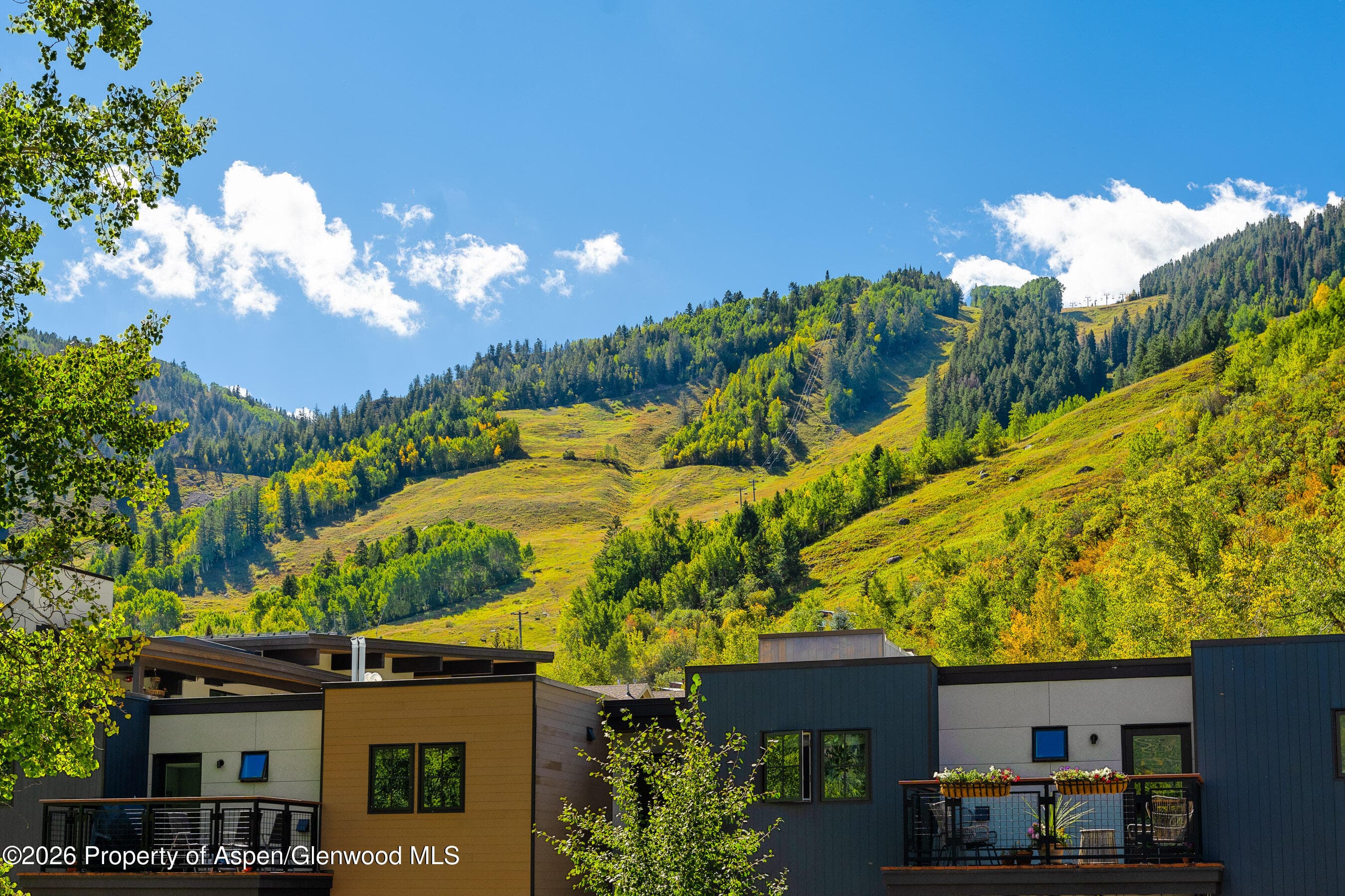 100 E Dean Street Unit 2b, Aspen, CO 81611 - Photo 14