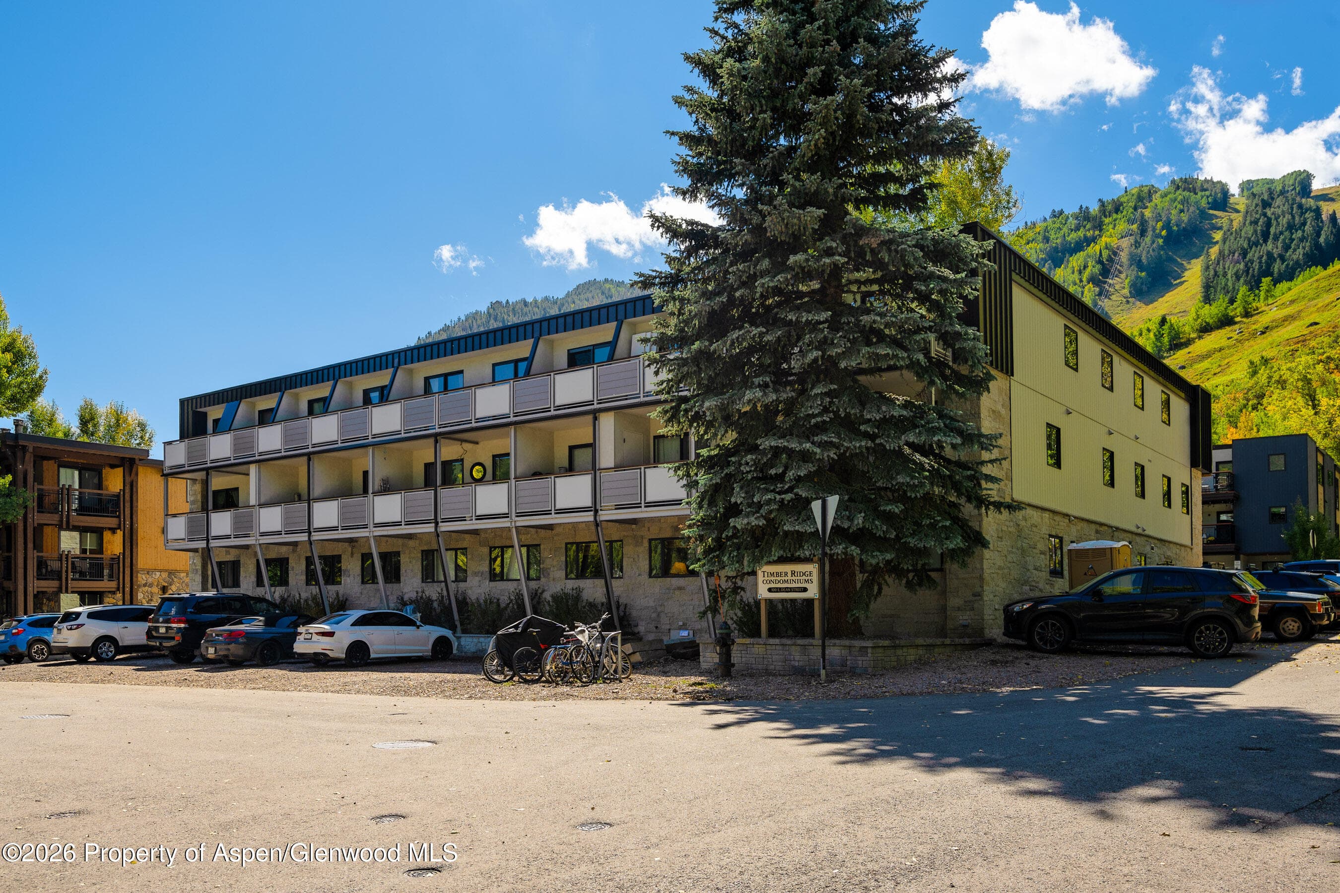 100 E Dean Street Unit 2b, Aspen, CO 81611 - Photo 17