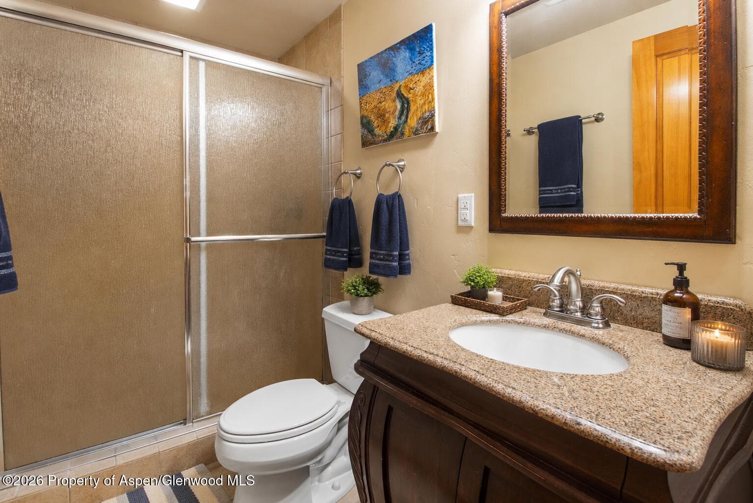 465 Settlement Lane, Carbondale, CO 81623 - Photo 24