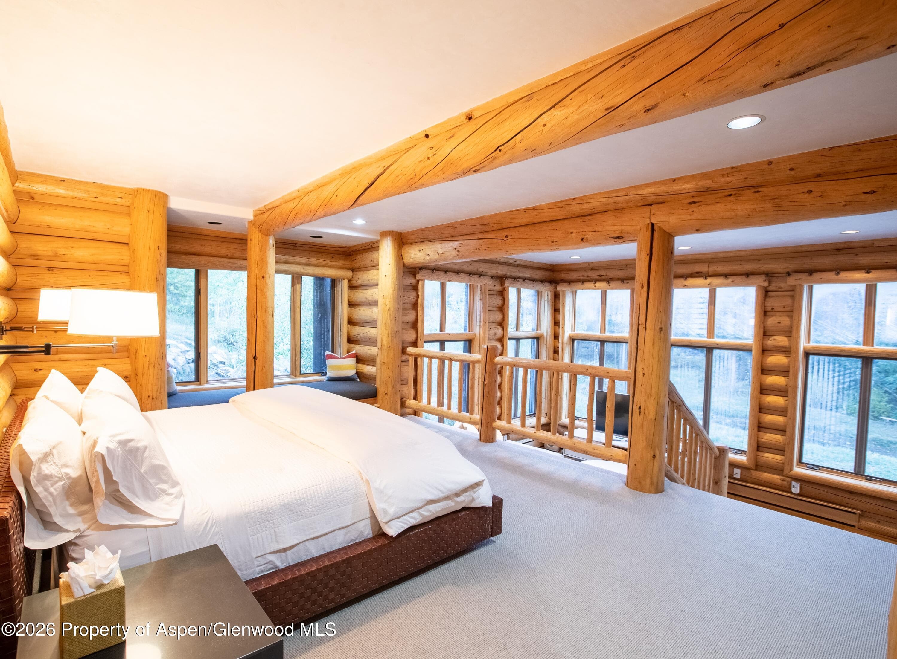27 & 33 Fall Creek, Aspen, CO 81611 - Photo 9