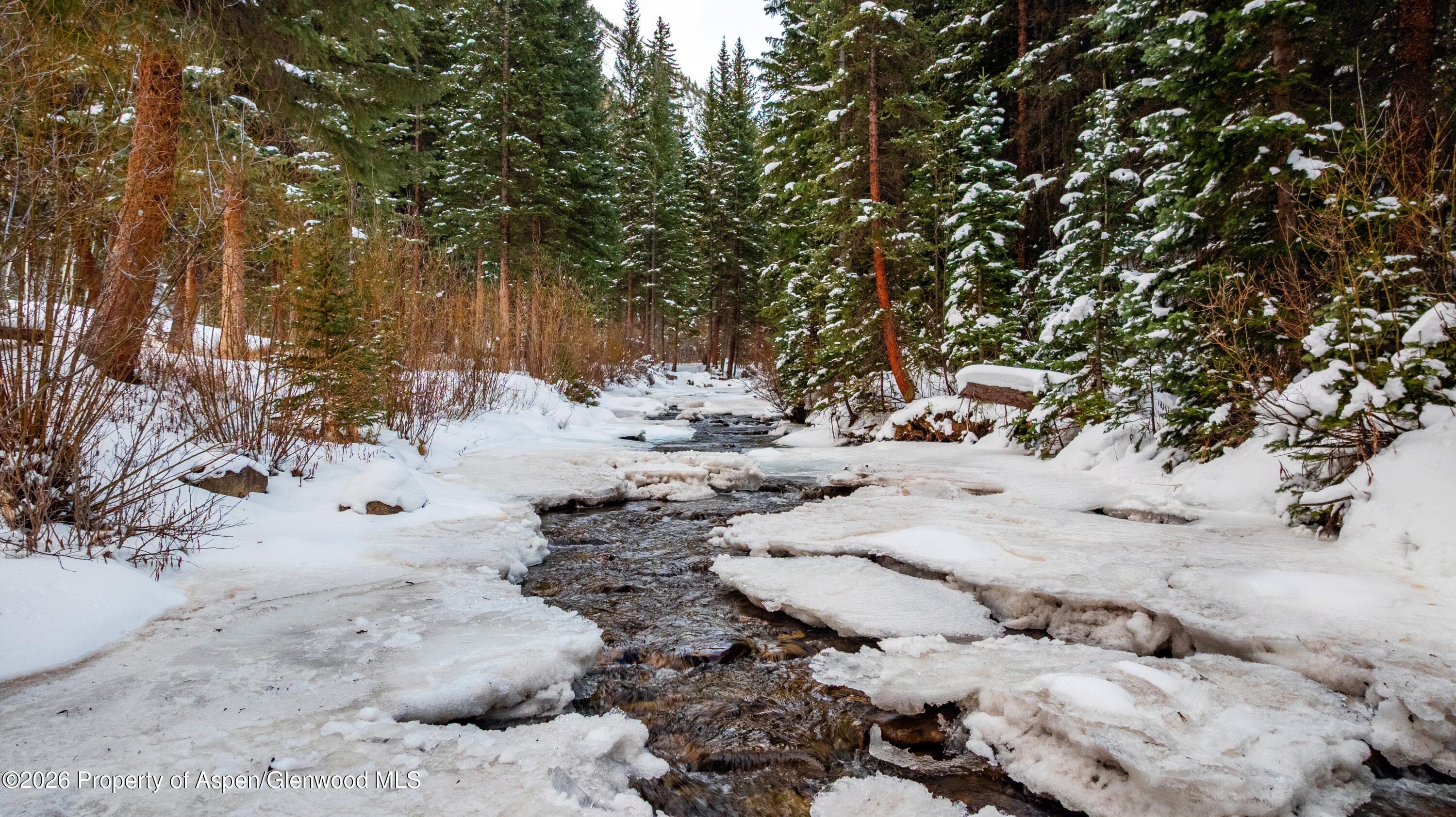 27 & 33 Fall Creek, Aspen, CO 81611 - Photo 16