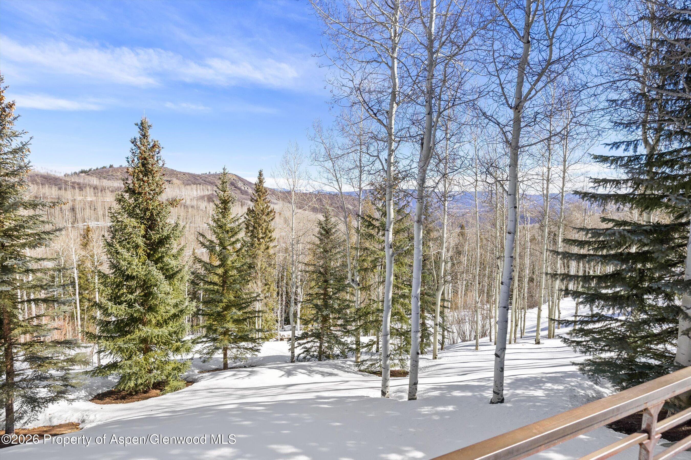 142 Aspen Way, Snowmass Village, CO 81615 - Photo 41