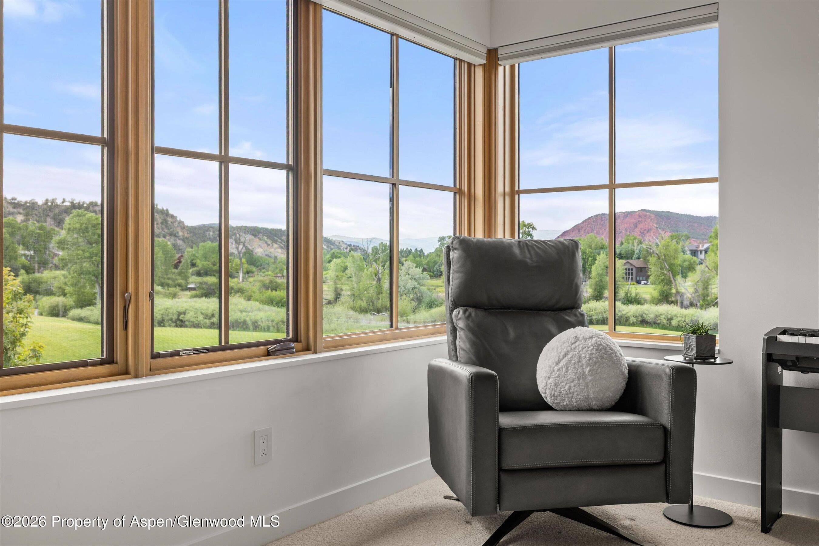1174 Heritage Drive, Carbondale, CO 81623 - Photo 28