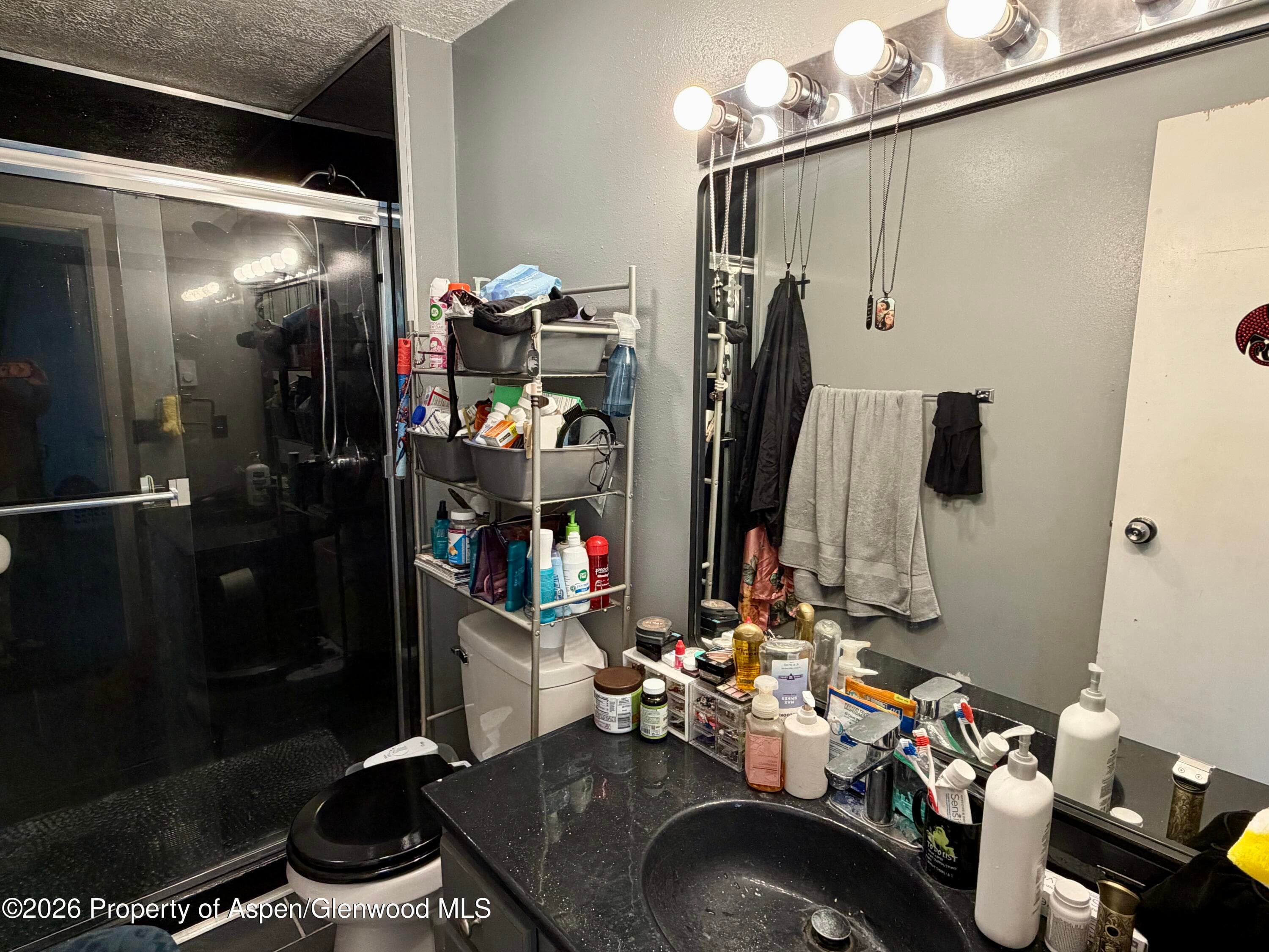 1409 Silver Sage Road, Meeker, CO 81641 - Photo 7