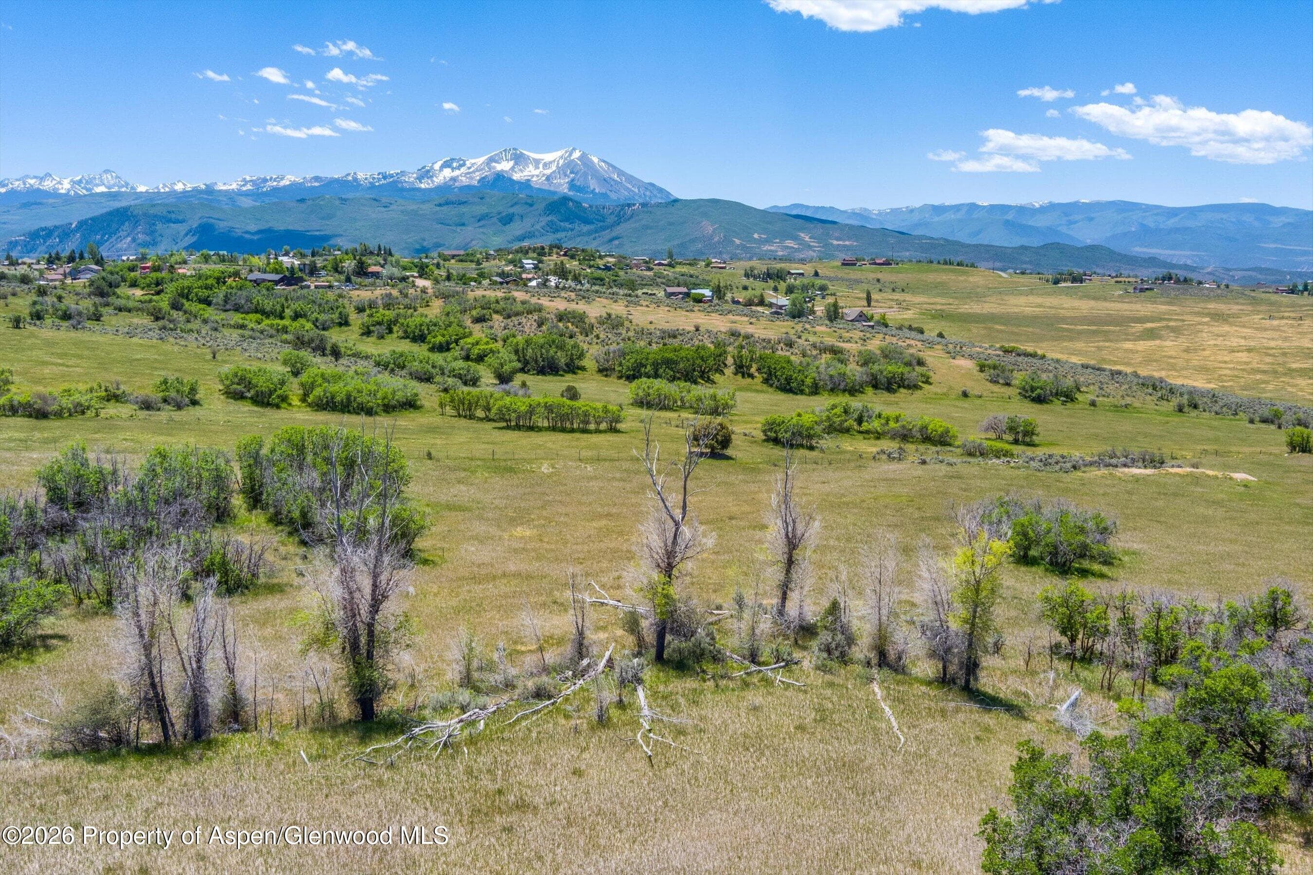 306 Green Meadow Drive, Carbondale, CO 81623 - Photo 7