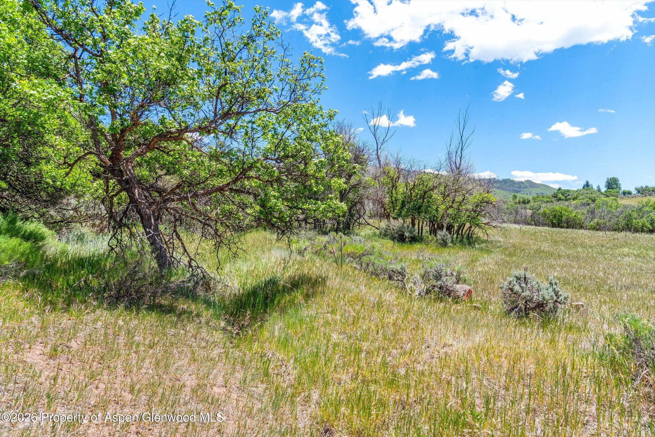 306 Green Meadow Drive, Carbondale, CO 81623 - Photo 18