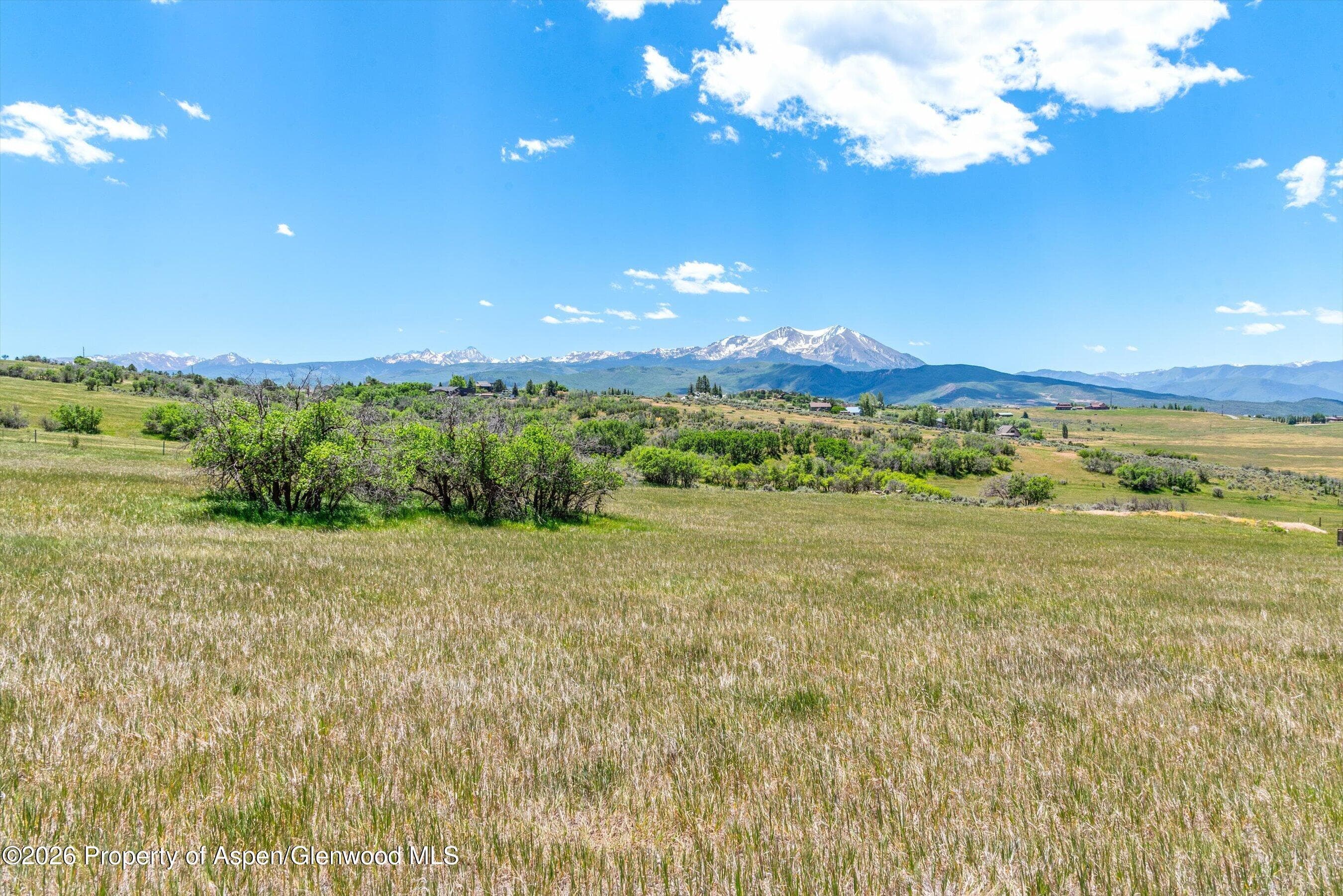 306 Green Meadow Drive, Carbondale, CO 81623 - Photo 19