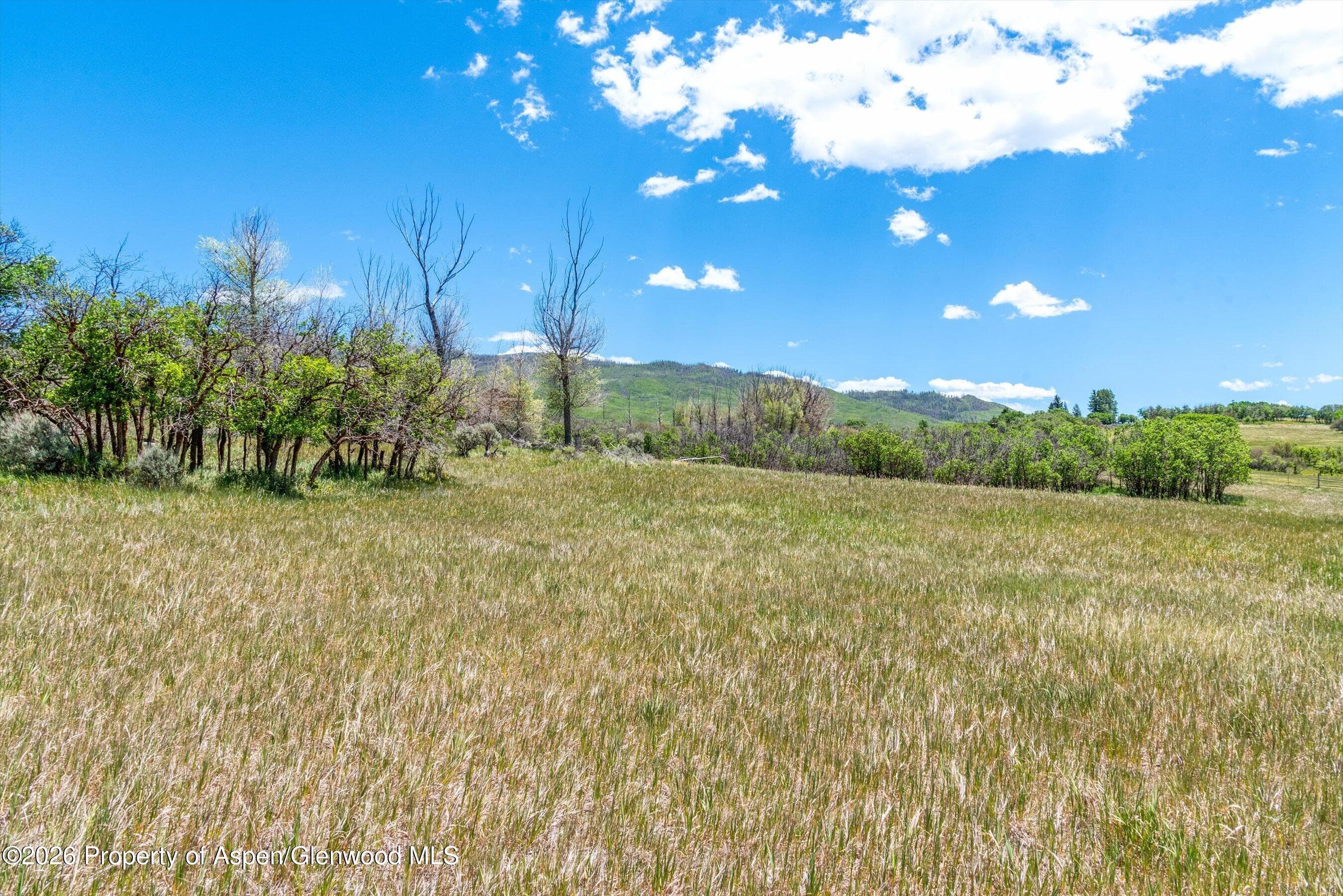 306 Green Meadow Drive, Carbondale, CO 81623 - Photo 20