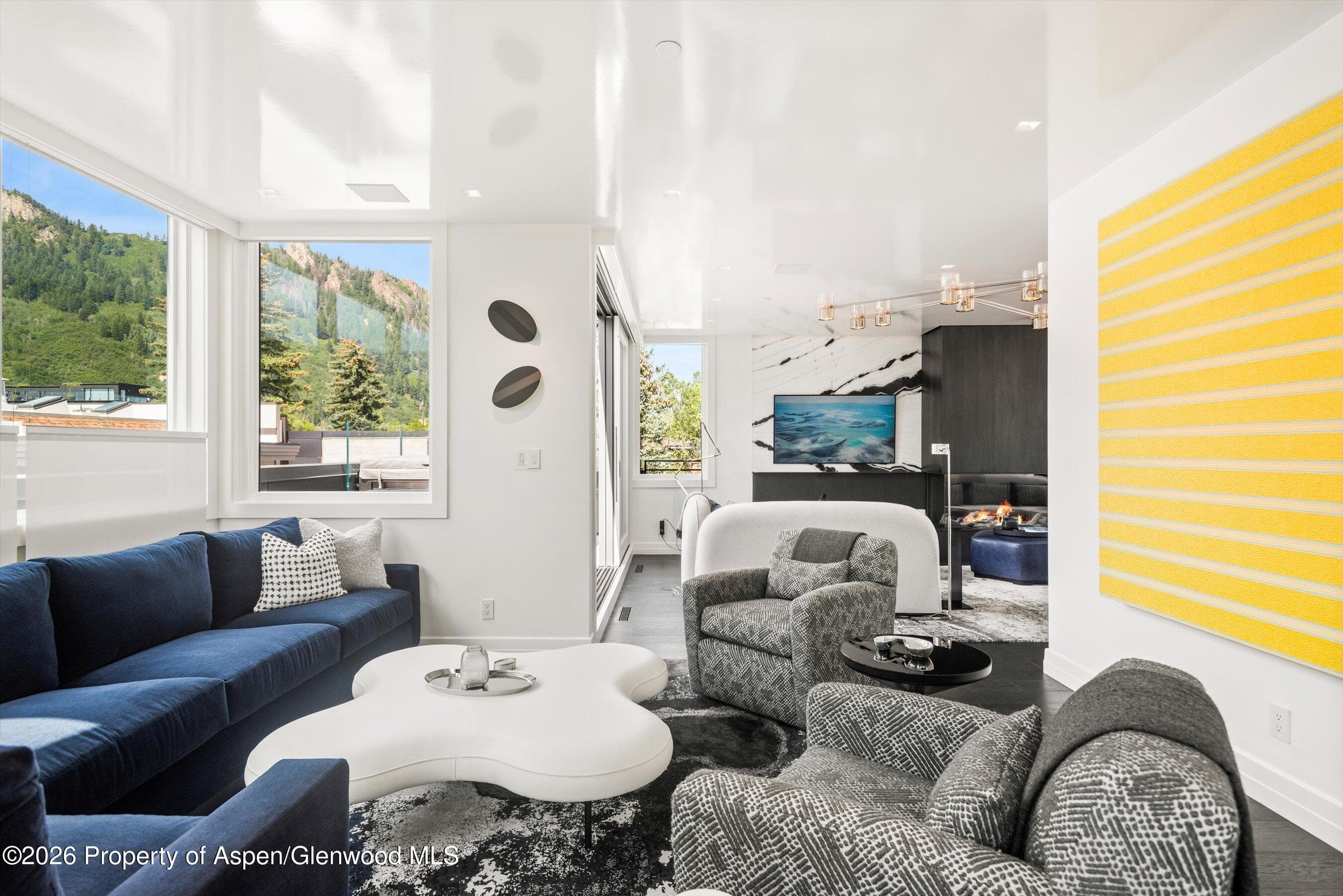 627 E Hopkins Avenue 201, Aspen, CO 81611 - Photo 5