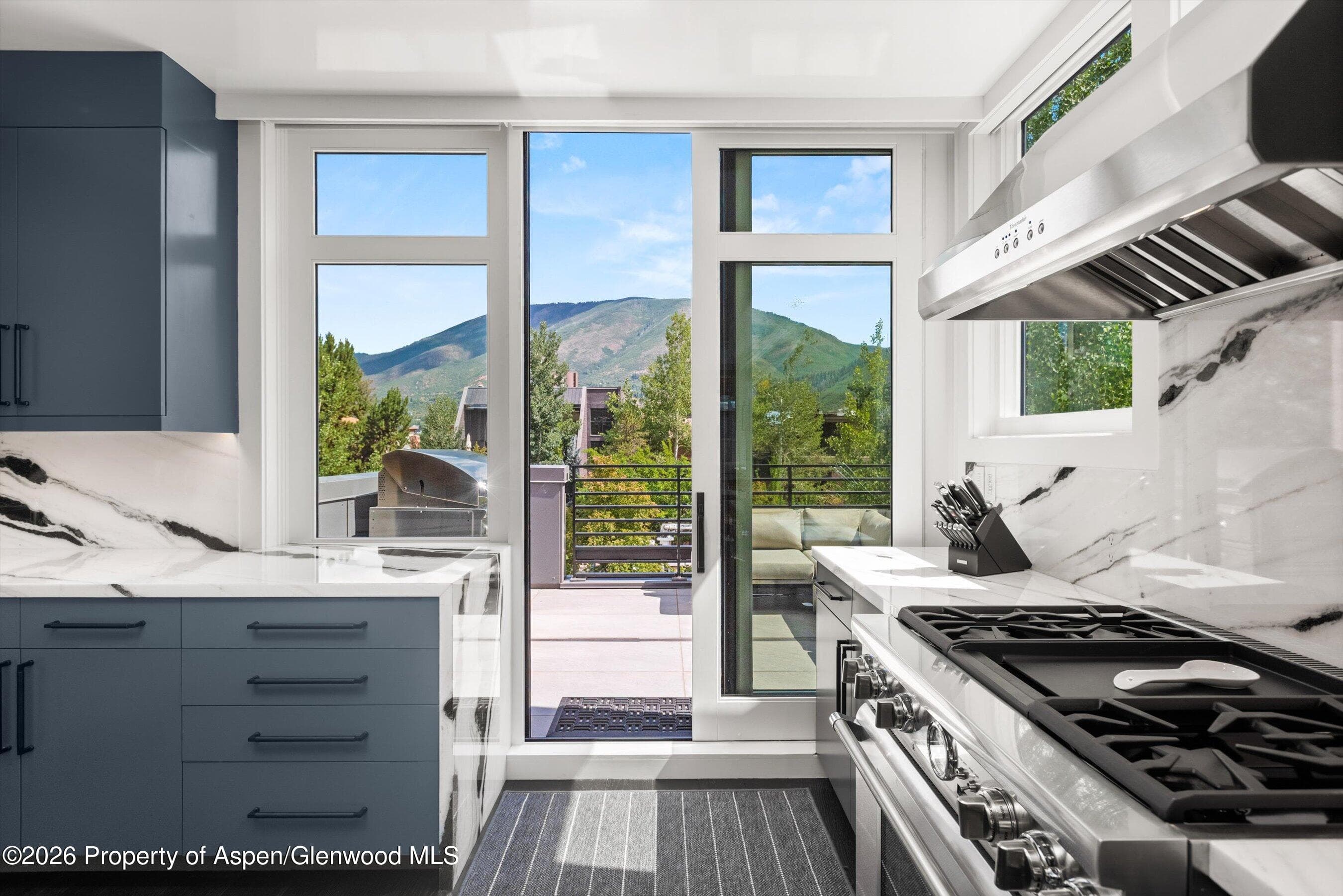 627 E Hopkins Avenue 201, Aspen, CO 81611 - Photo 12