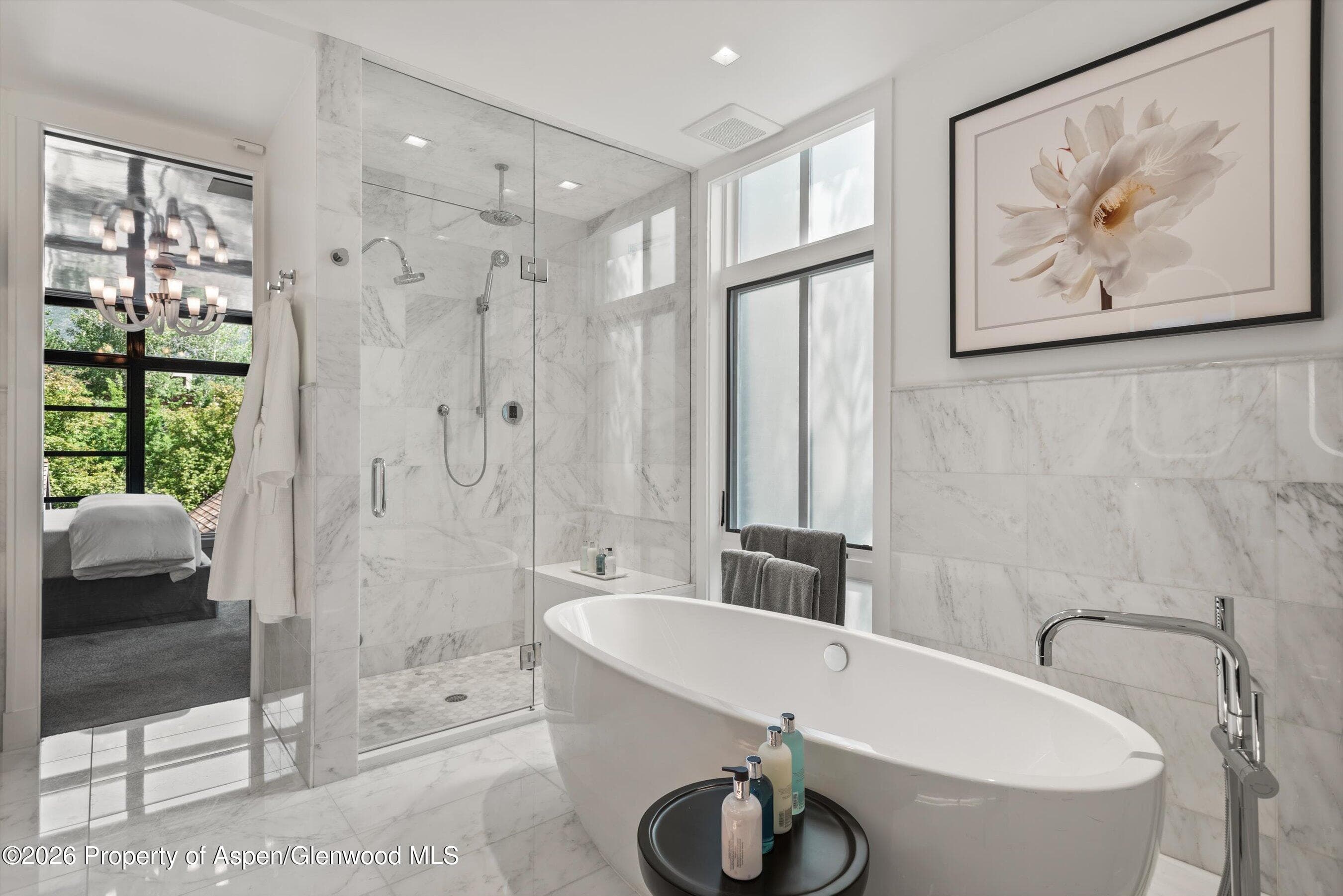 627 E Hopkins Avenue 201, Aspen, CO 81611 - Photo 19