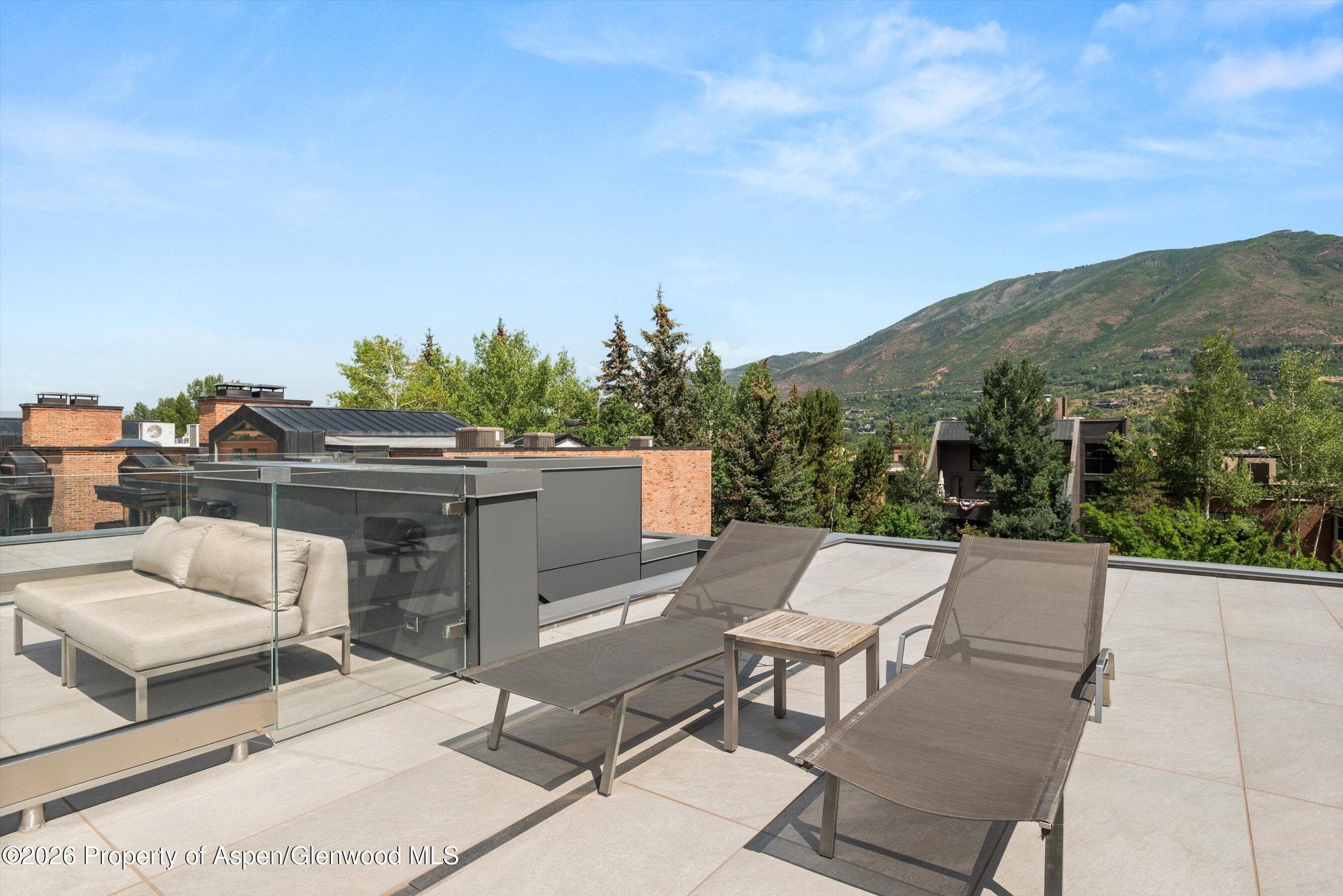 627 E Hopkins Avenue 201, Aspen, CO 81611 - Photo 37