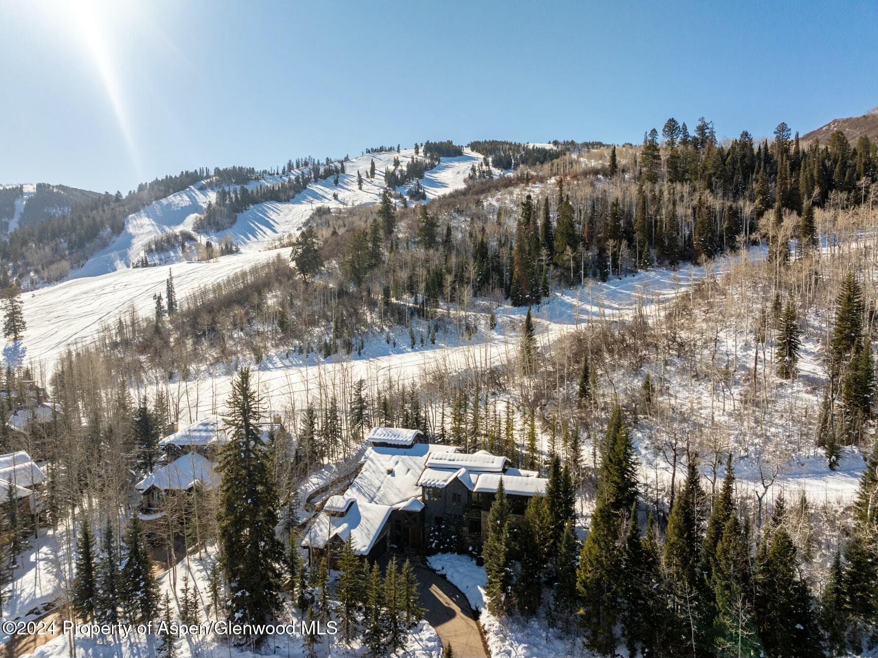 386 Pfister Drive, Aspen, CO 81611 - Photo 3