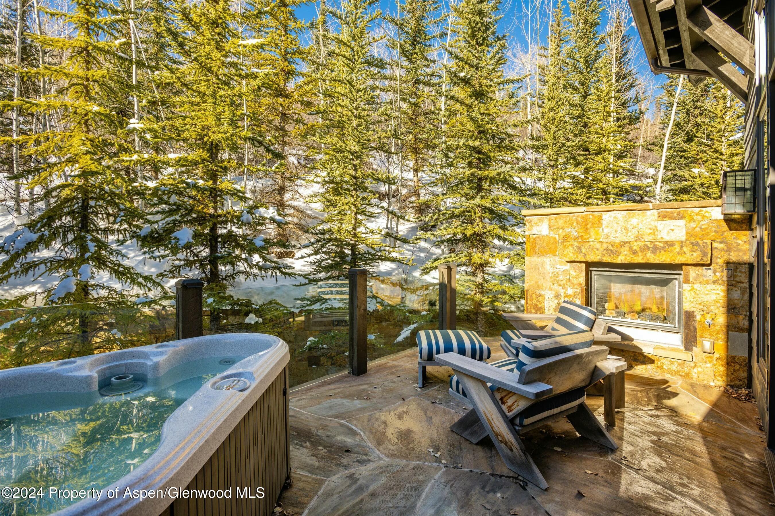 386 Pfister Drive, Aspen, CO 81611 - Photo 13