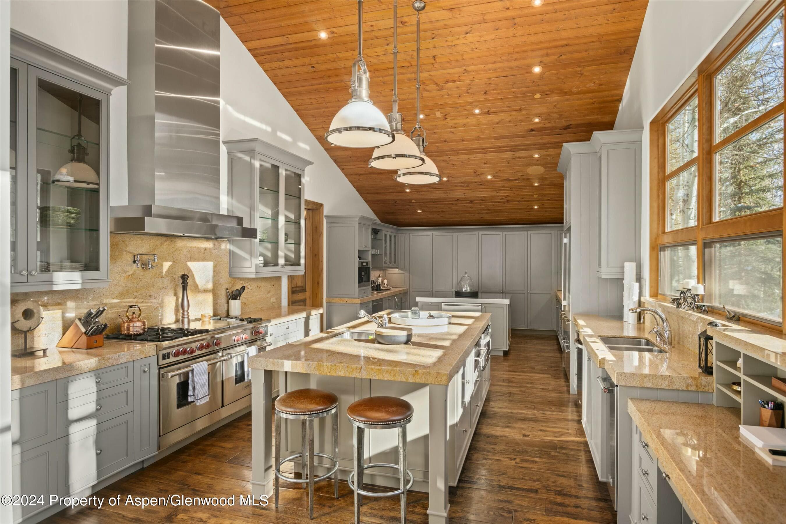386 Pfister Drive, Aspen, CO 81611 - Photo 14