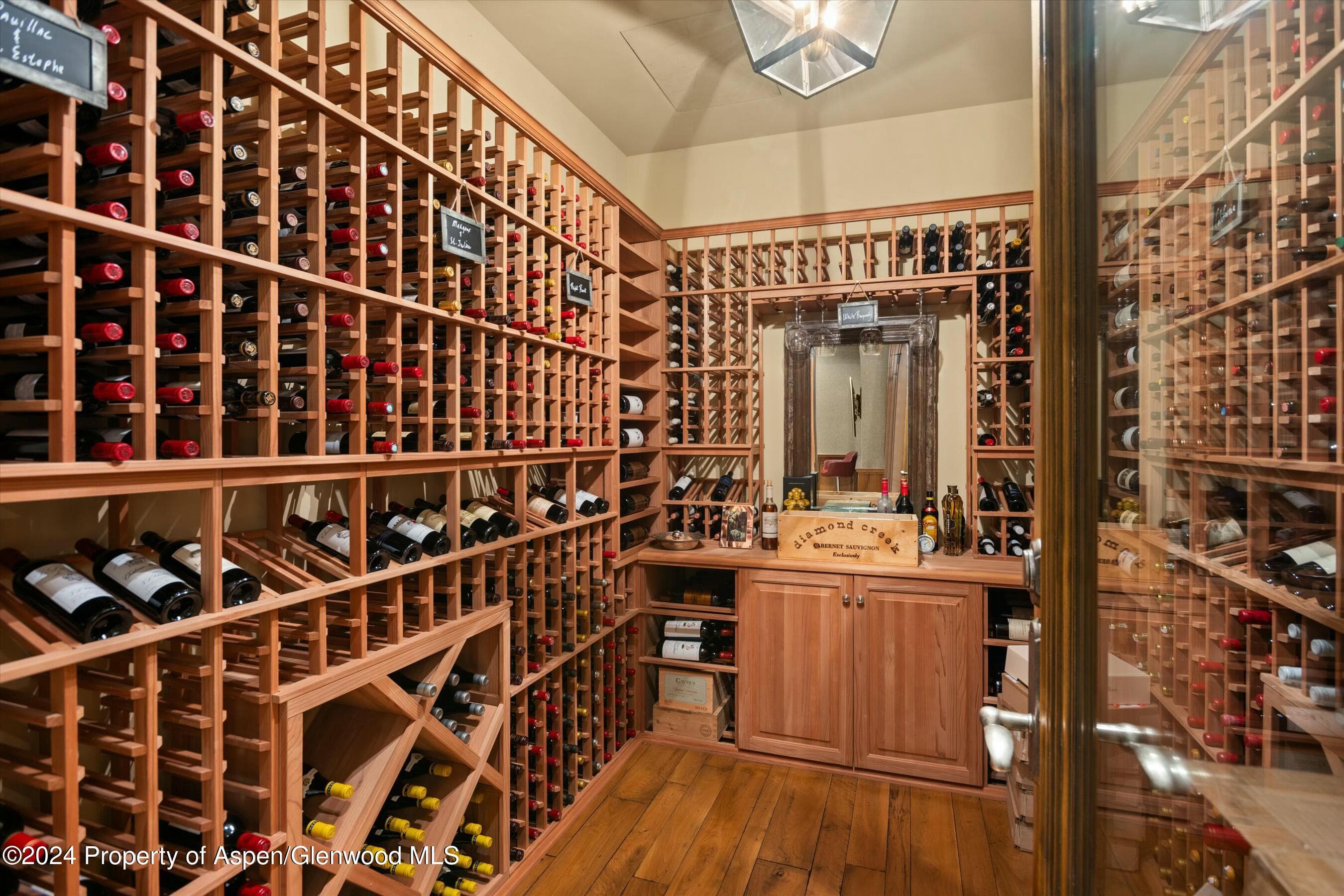 386 Pfister Drive, Aspen, CO 81611 - Photo 19