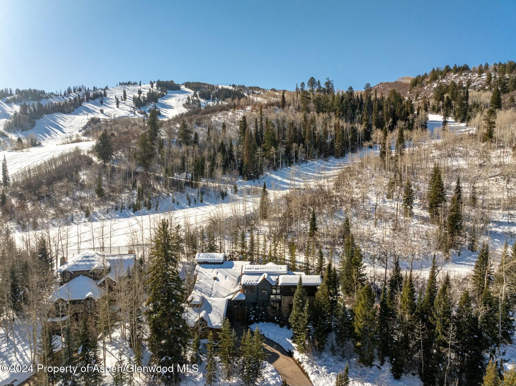 386 Pfister Drive, Aspen, CO 81611 - Photo 32