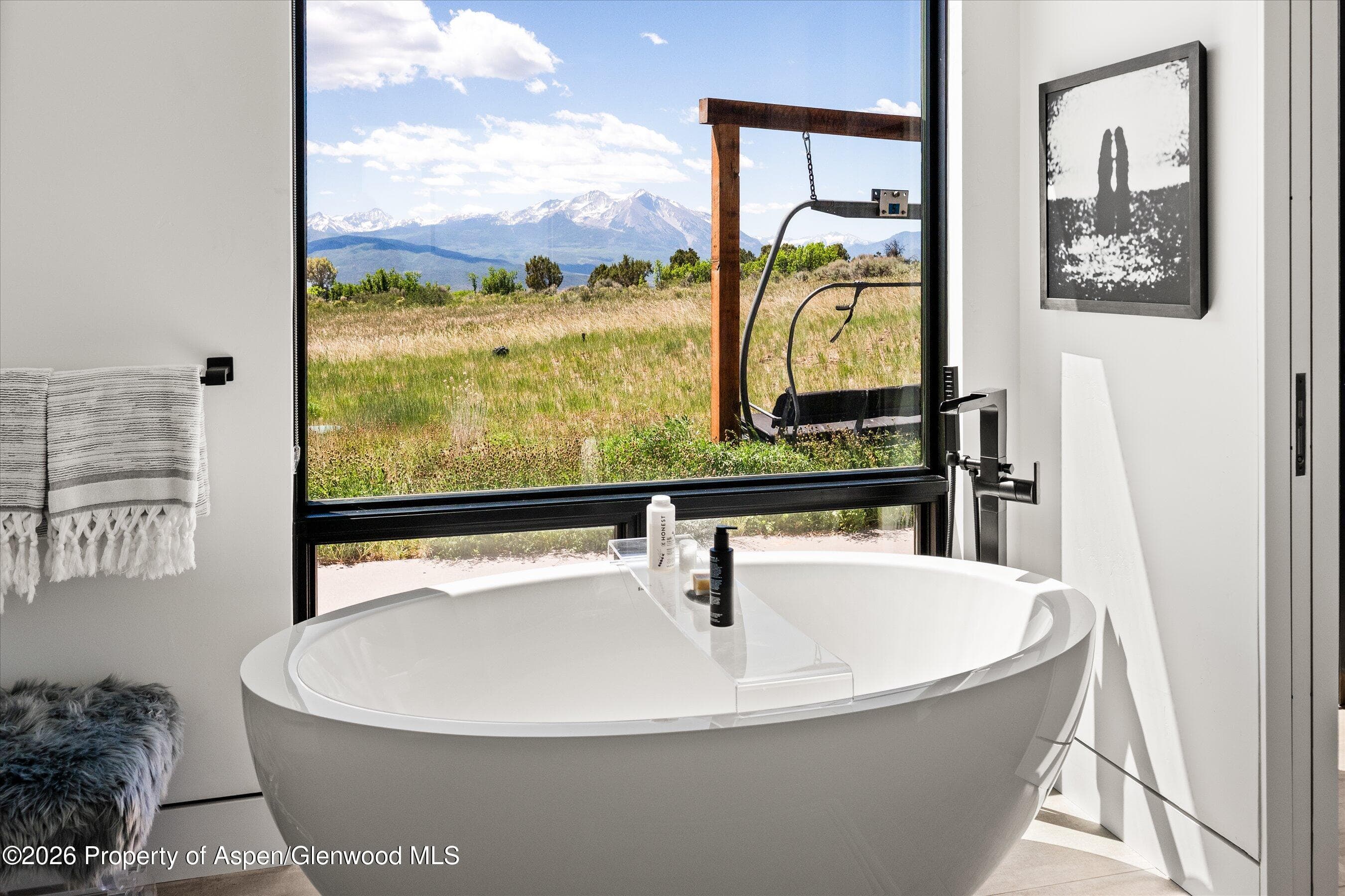 176 Fisher Creek Lane, Carbondale, CO 81623 - Photo 42