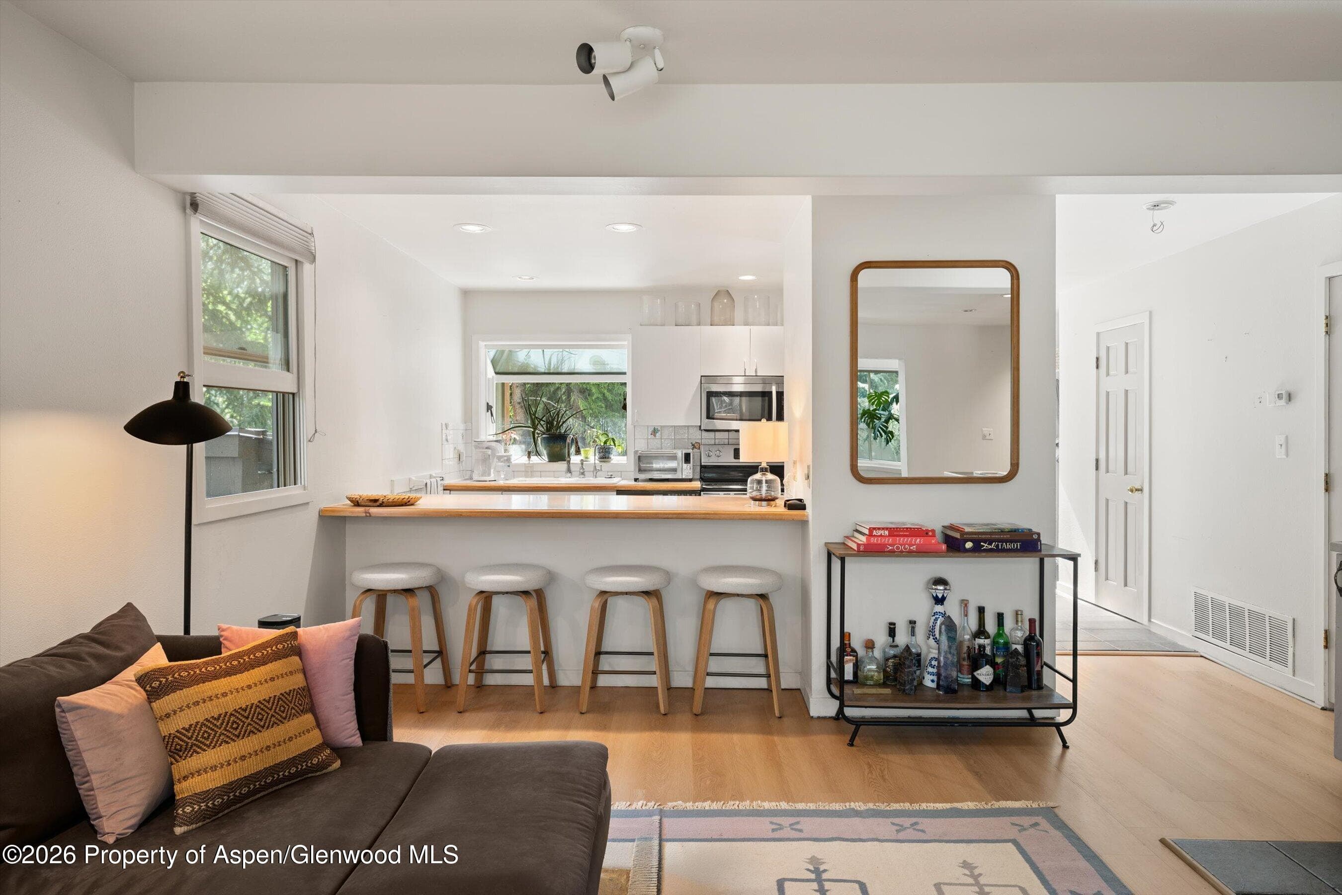 100 N Eigth Street 24, Aspen, CO 81611 - Photo 8