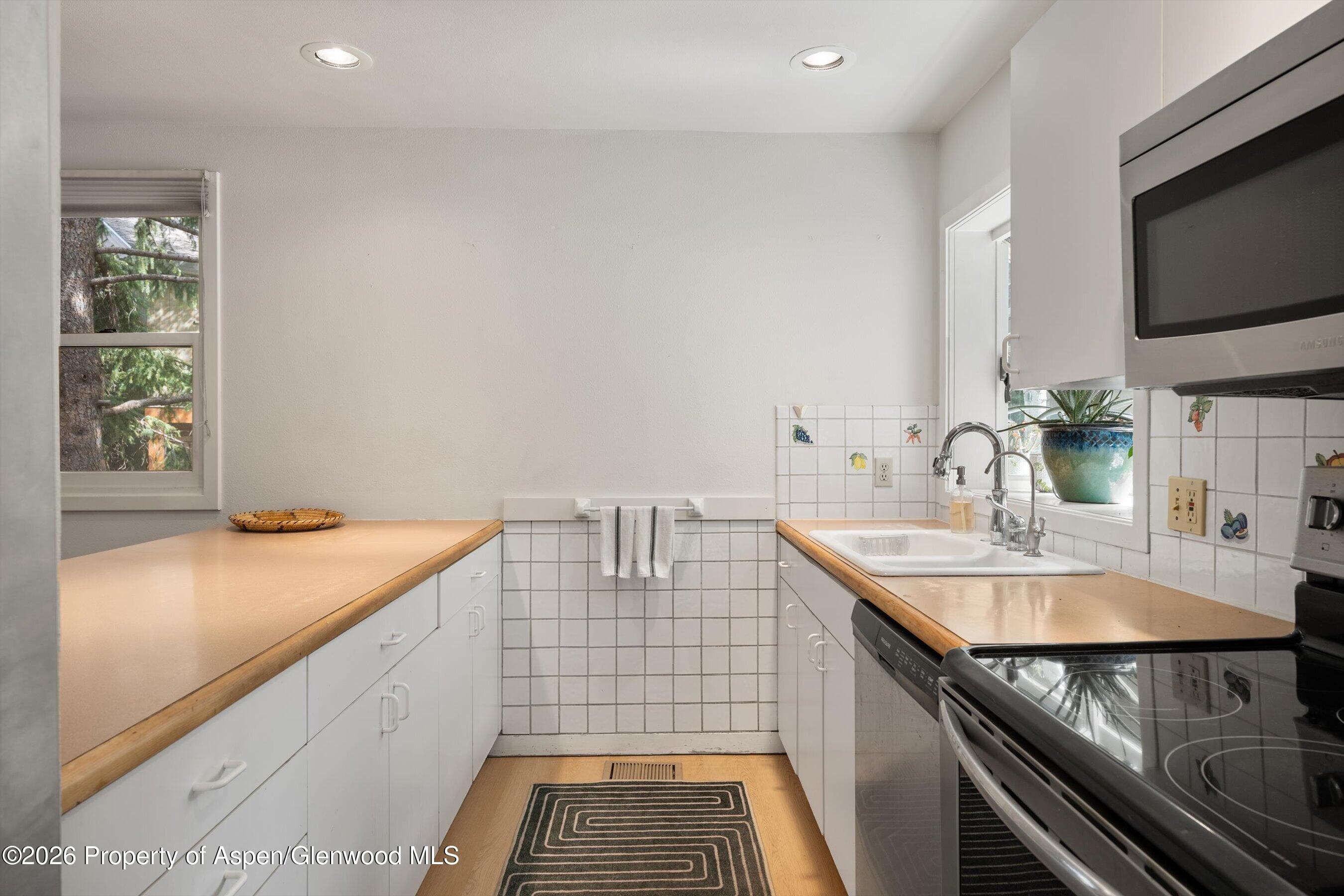 100 N Eigth Street 24, Aspen, CO 81611 - Photo 15