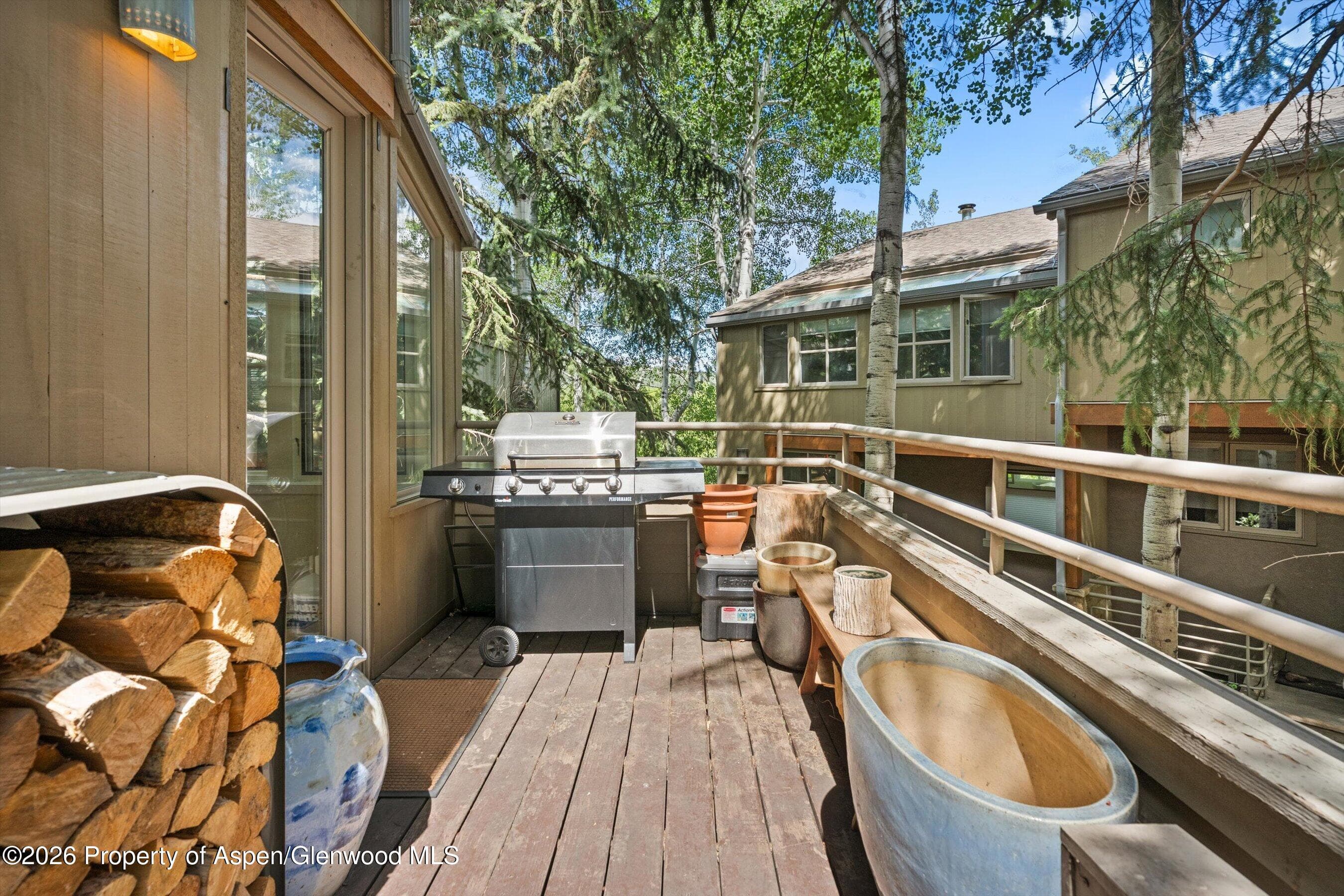 100 N Eigth Street 24, Aspen, CO 81611 - Photo 28