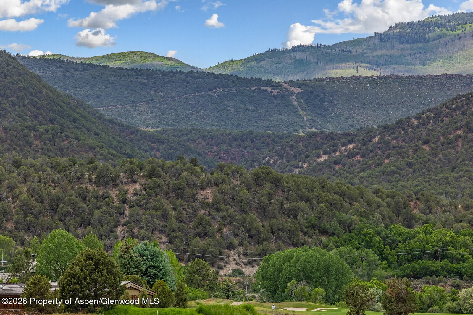 67 Alpen Glo, Carbondale, CO 81623 - Photo 6