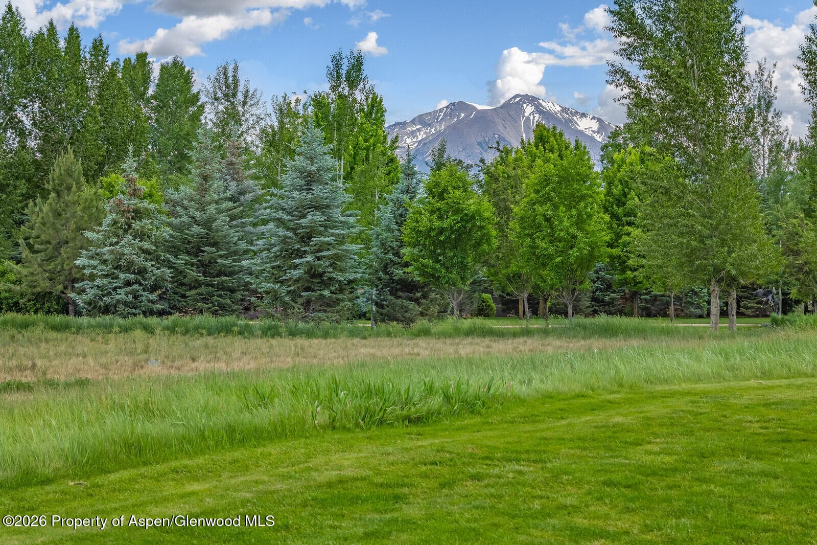 67 Alpen Glo, Carbondale, CO 81623 - Photo 4