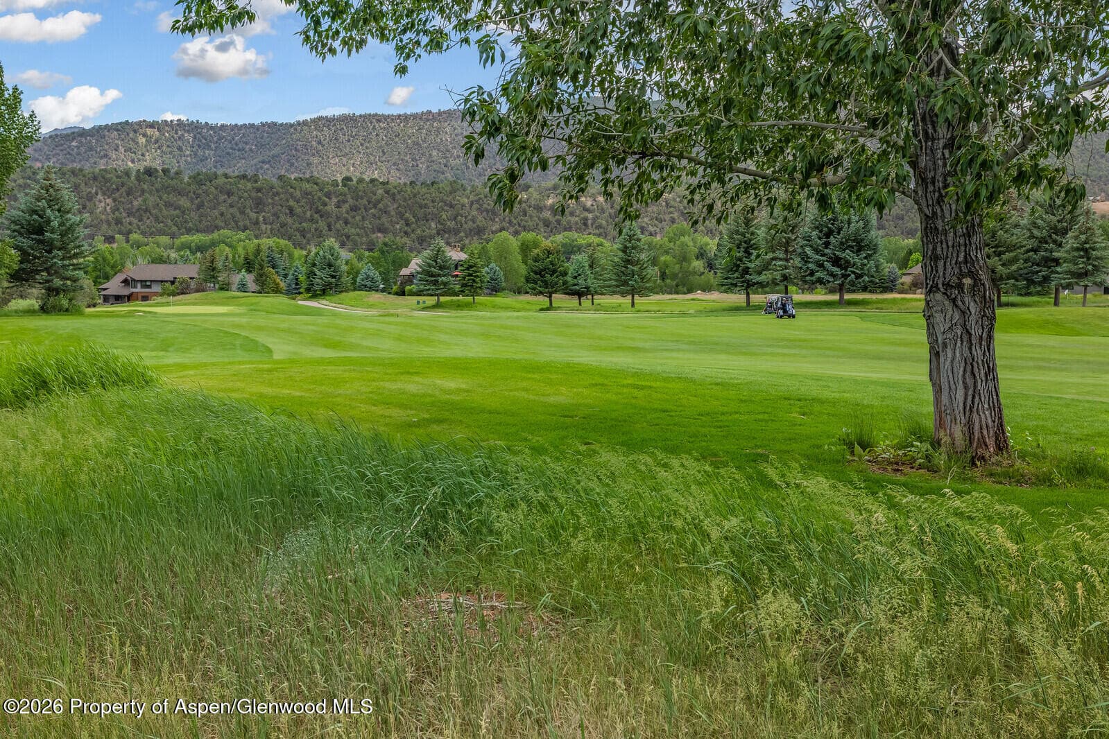 67 Alpen Glo, Carbondale, CO 81623 - Photo 9