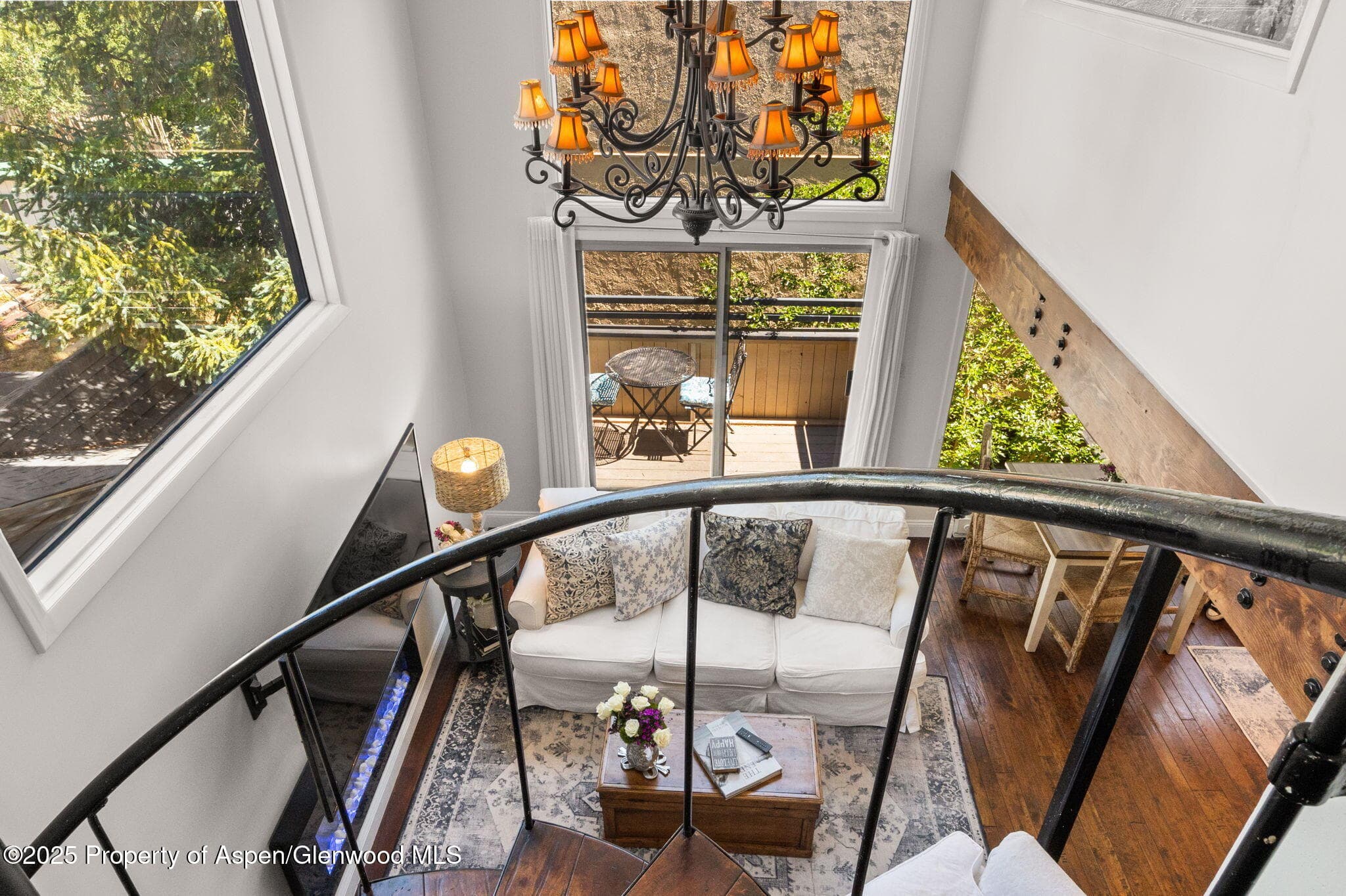 1024 E Cooper Avenue 8, Aspen, CO 81611 - Photo 2
