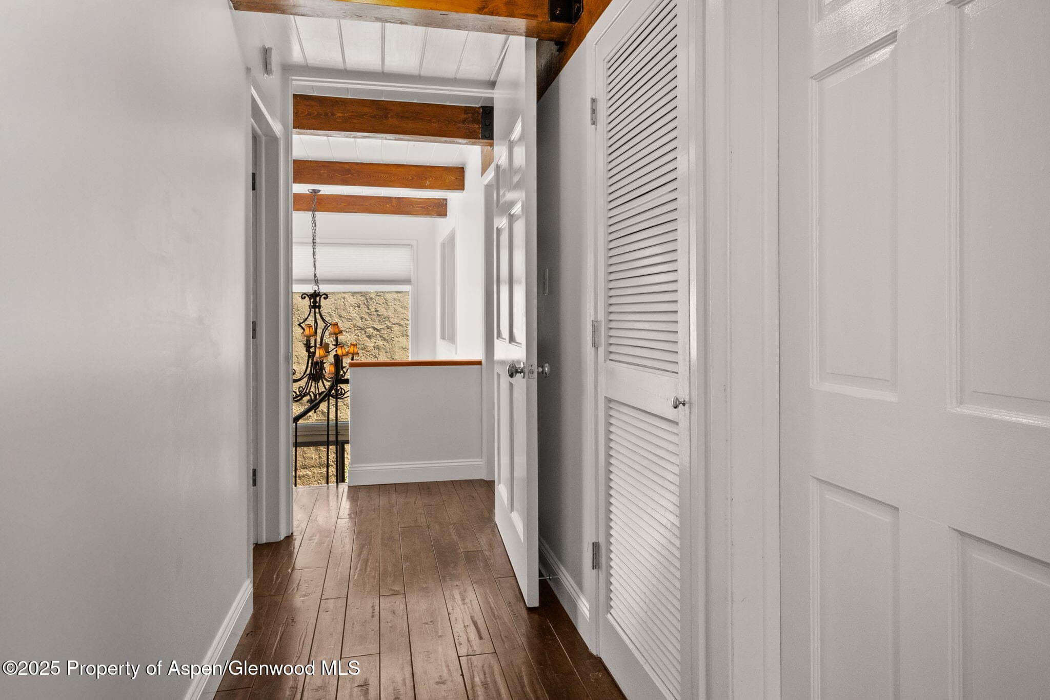 1024 E Cooper Avenue 8, Aspen, CO 81611 - Photo 8