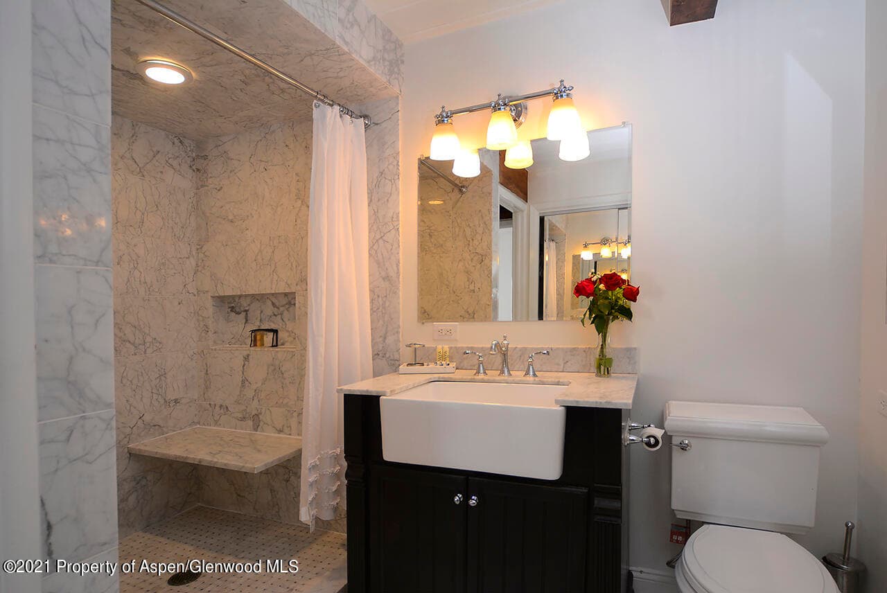 1024 E Cooper Avenue 8, Aspen, CO 81611 - Photo 9