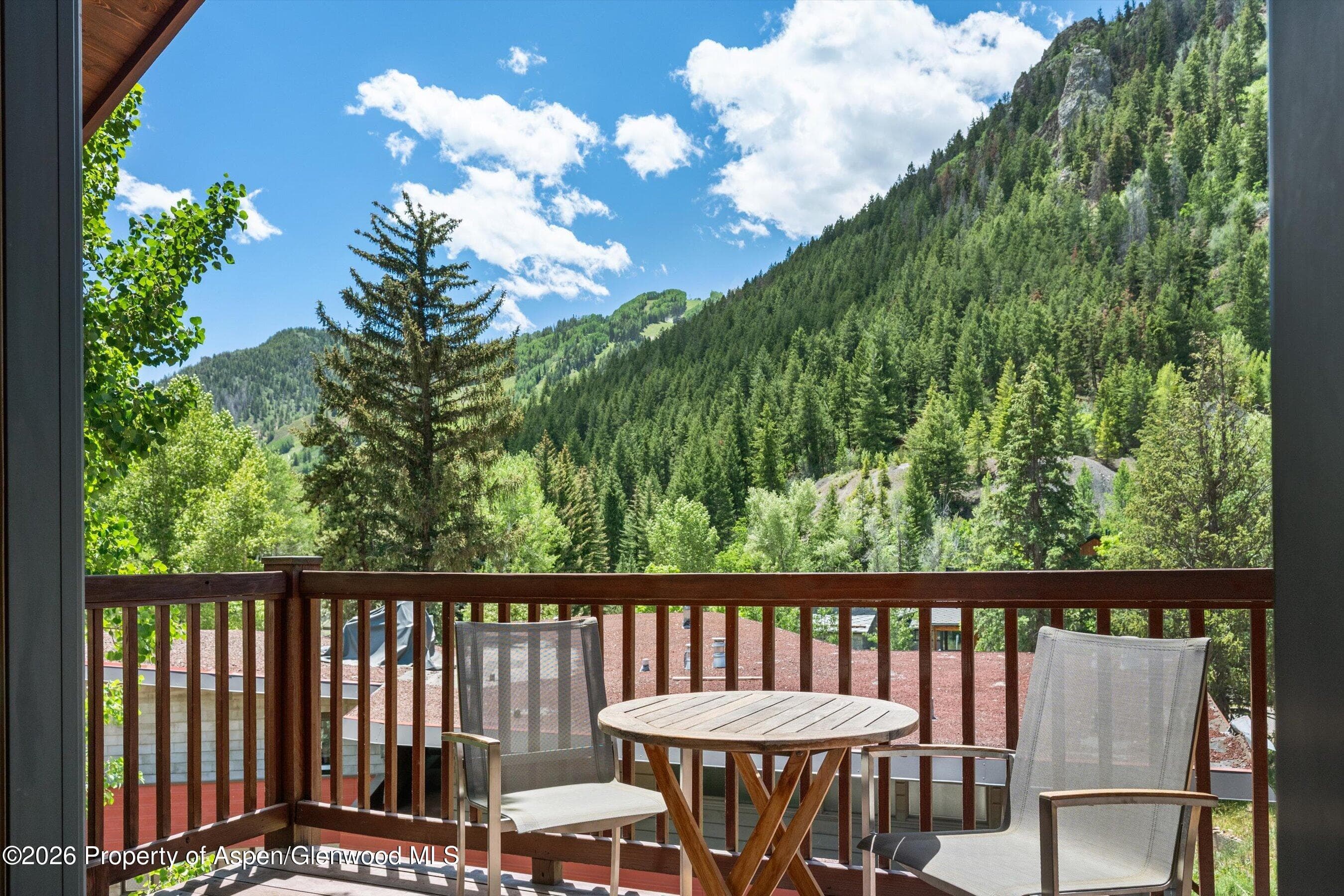 503 W Main Street B202, Aspen, CO 81611 - Photo 8
