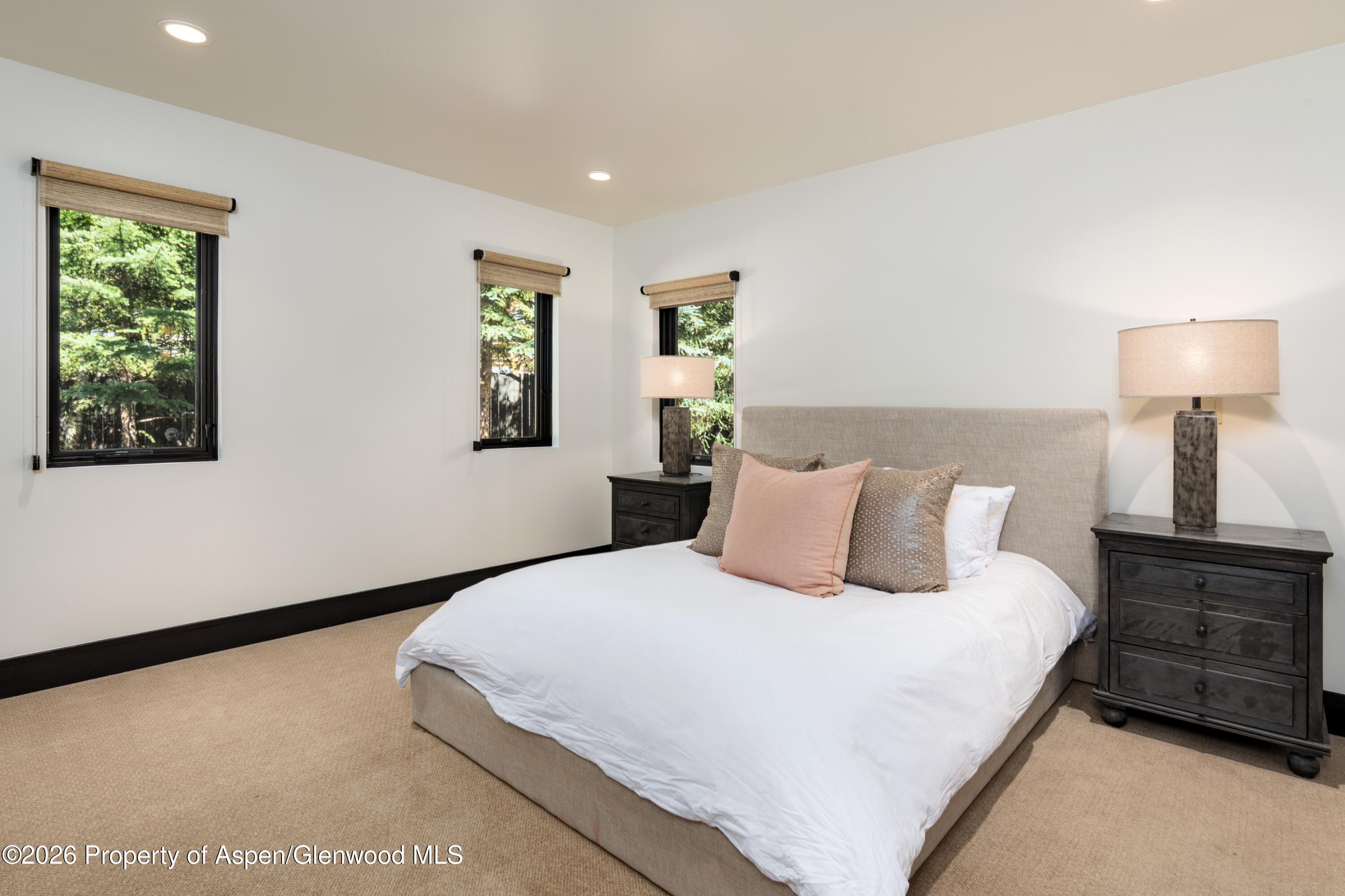 190 W Lupine Drive, Aspen, CO 81611 - Photo 13