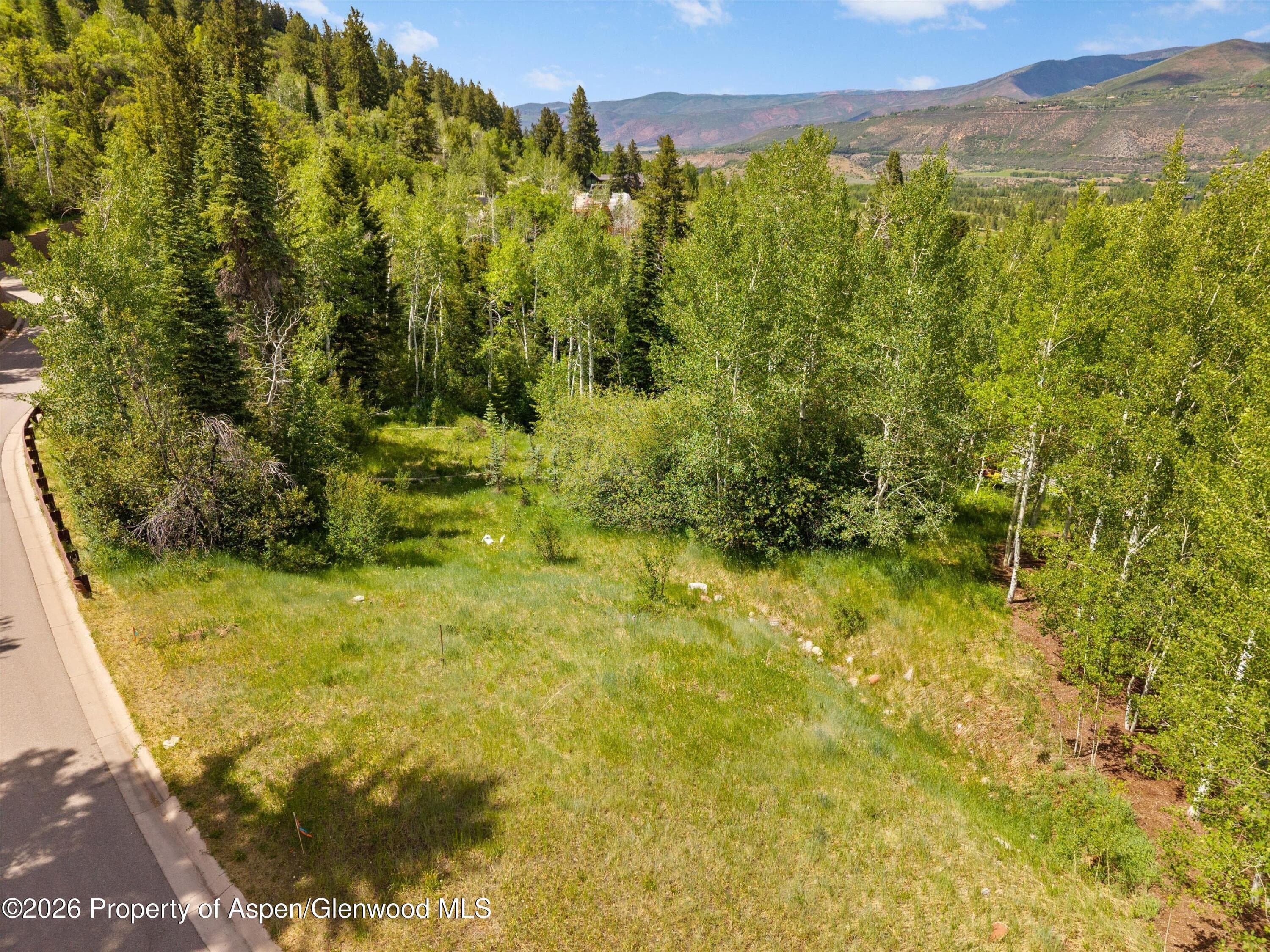 Tbd Pfister Drive, Aspen, CO 81611 - Photo 13