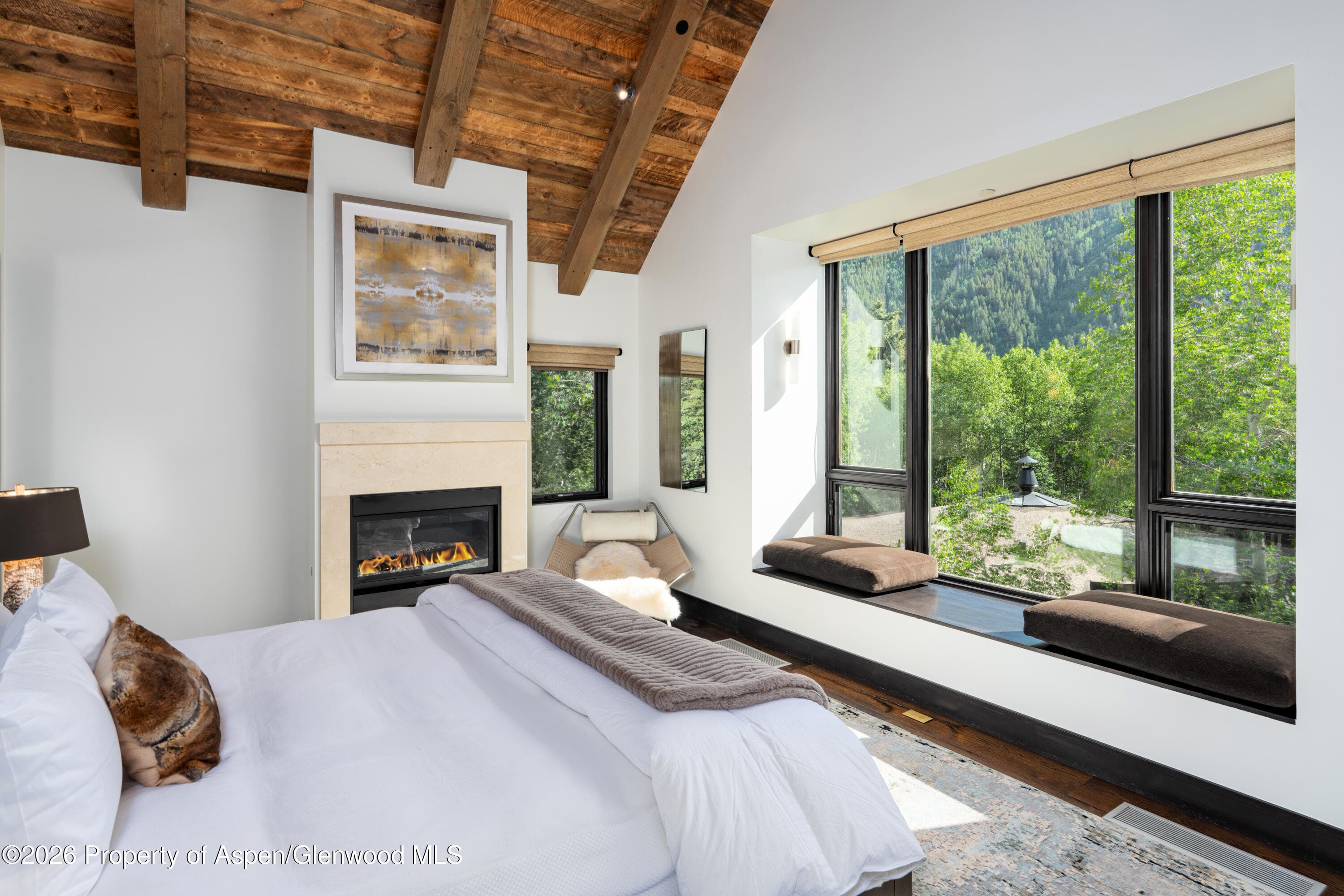 190 W Lupine Drive, Aspen, CO 81611 - Photo 8