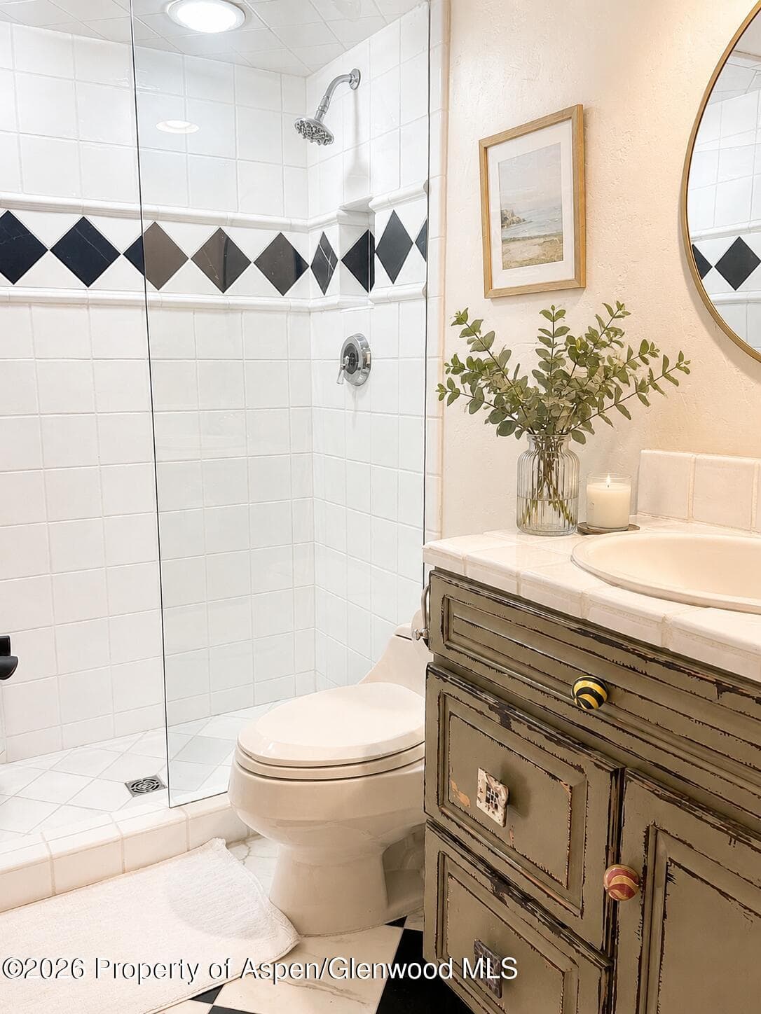 800 E Hopkins Avenue A-1, Aspen, CO 81611 - Photo 10