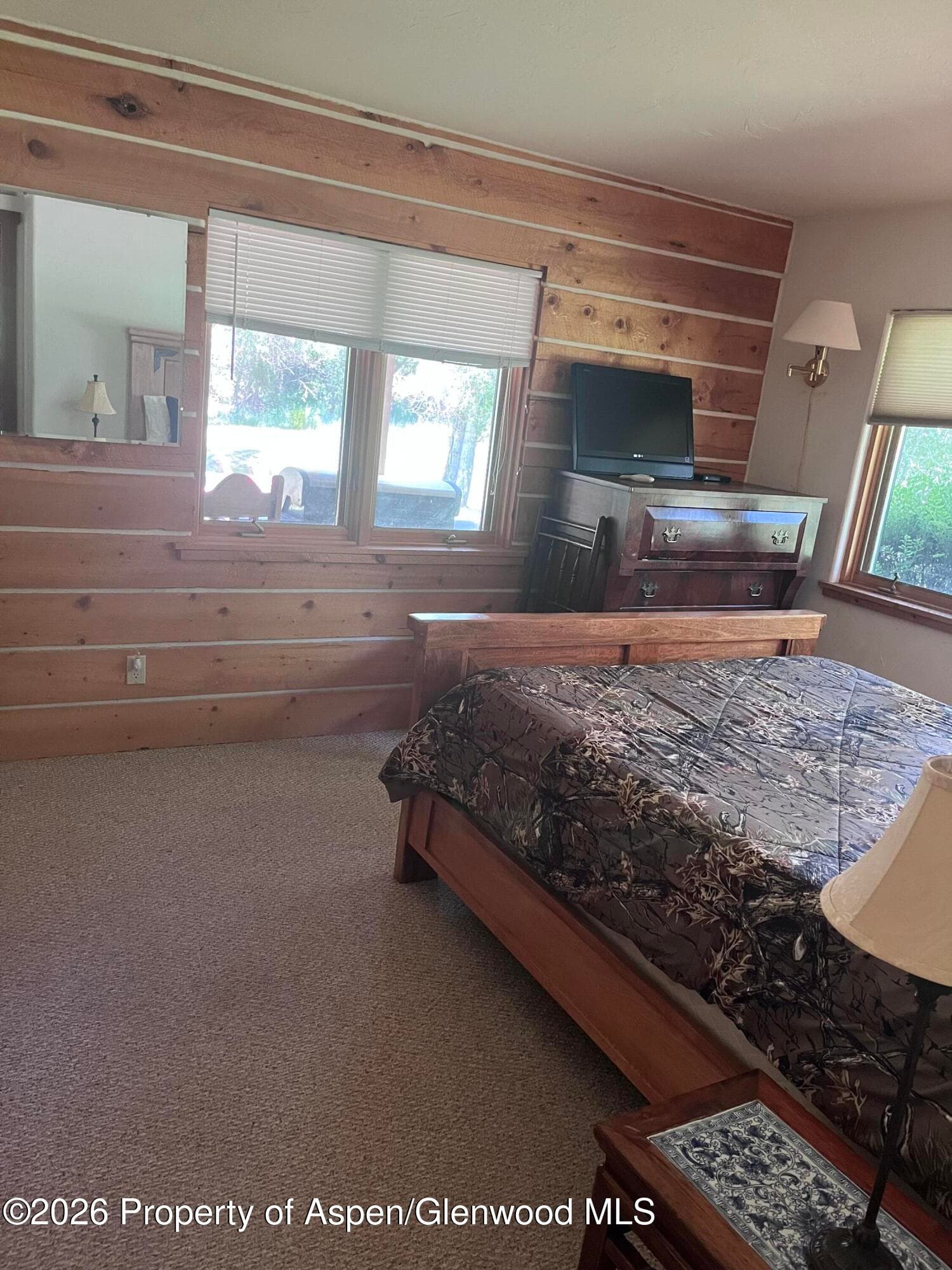 135 Lewis Lane, Basalt, CO 81621 - Photo 16