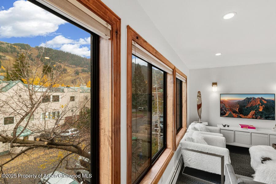 725 E Main Street 309, Aspen, CO 81611 - Photo 5