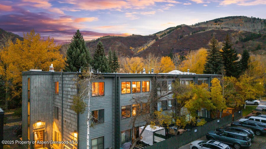725 E Main Street 309, Aspen, CO 81611 - Photo 35