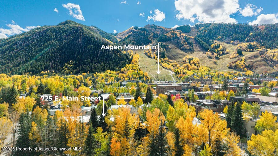 725 E Main Street 309, Aspen, CO 81611 - Photo 40